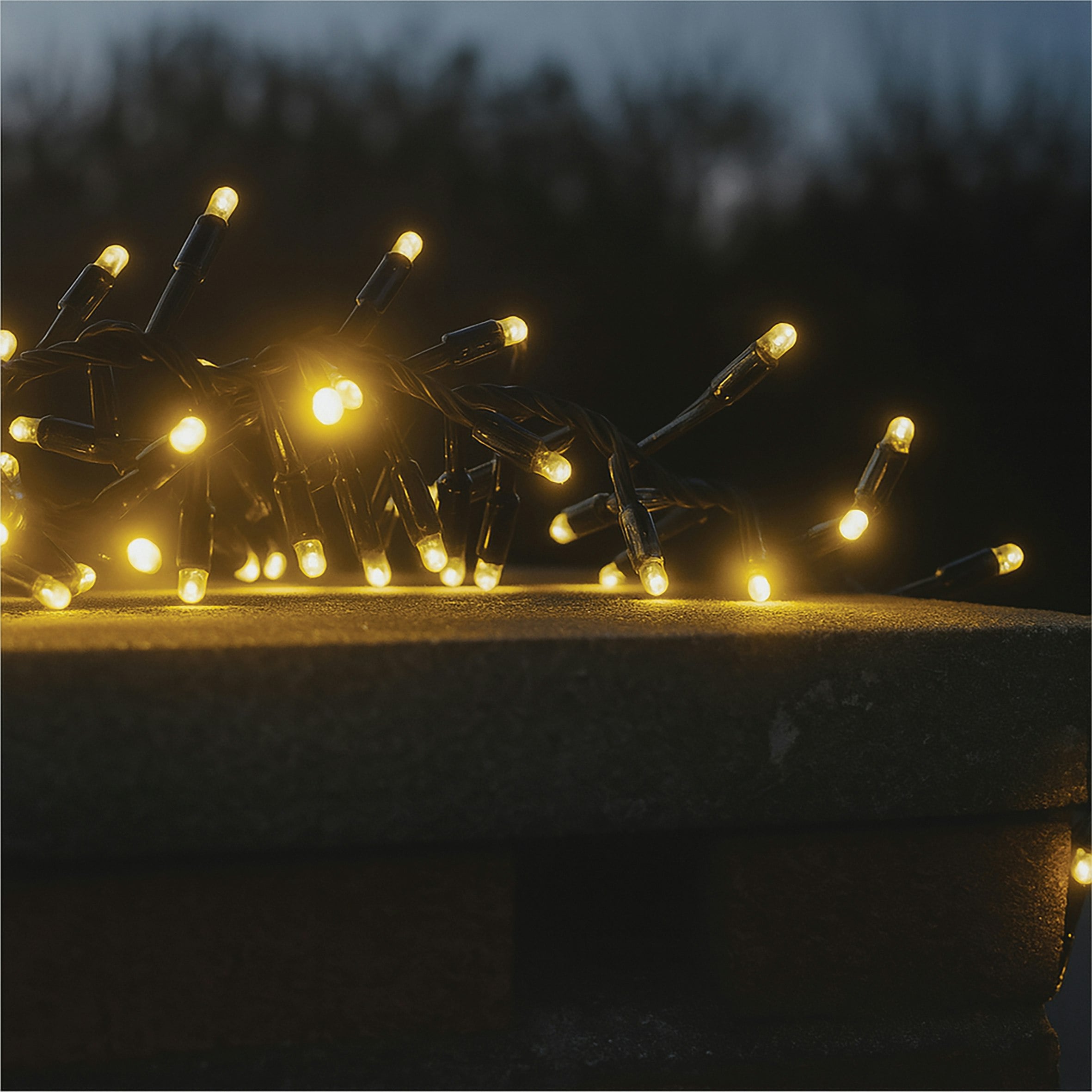 Eagle Connect Black/White Cluster Lights Rubber Ip65 Warm 20M