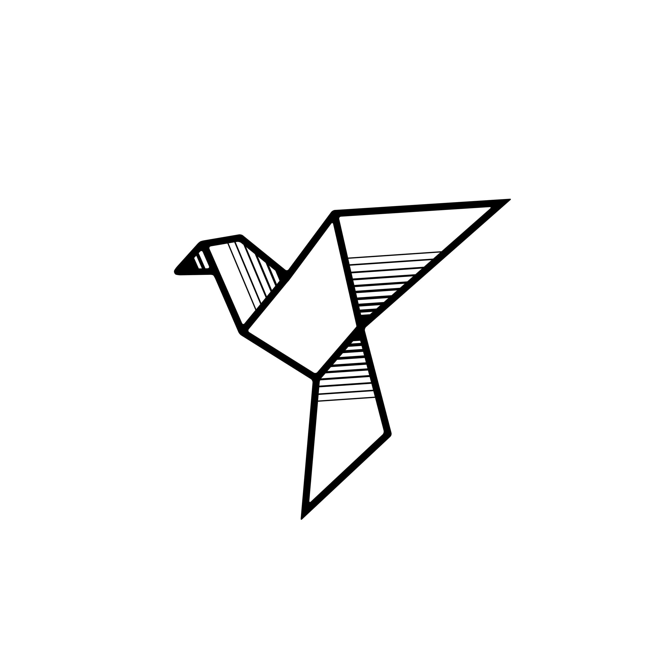Rackhams Black Fly Modern Metal Wall Art Home Decorative Ornament, - Metal