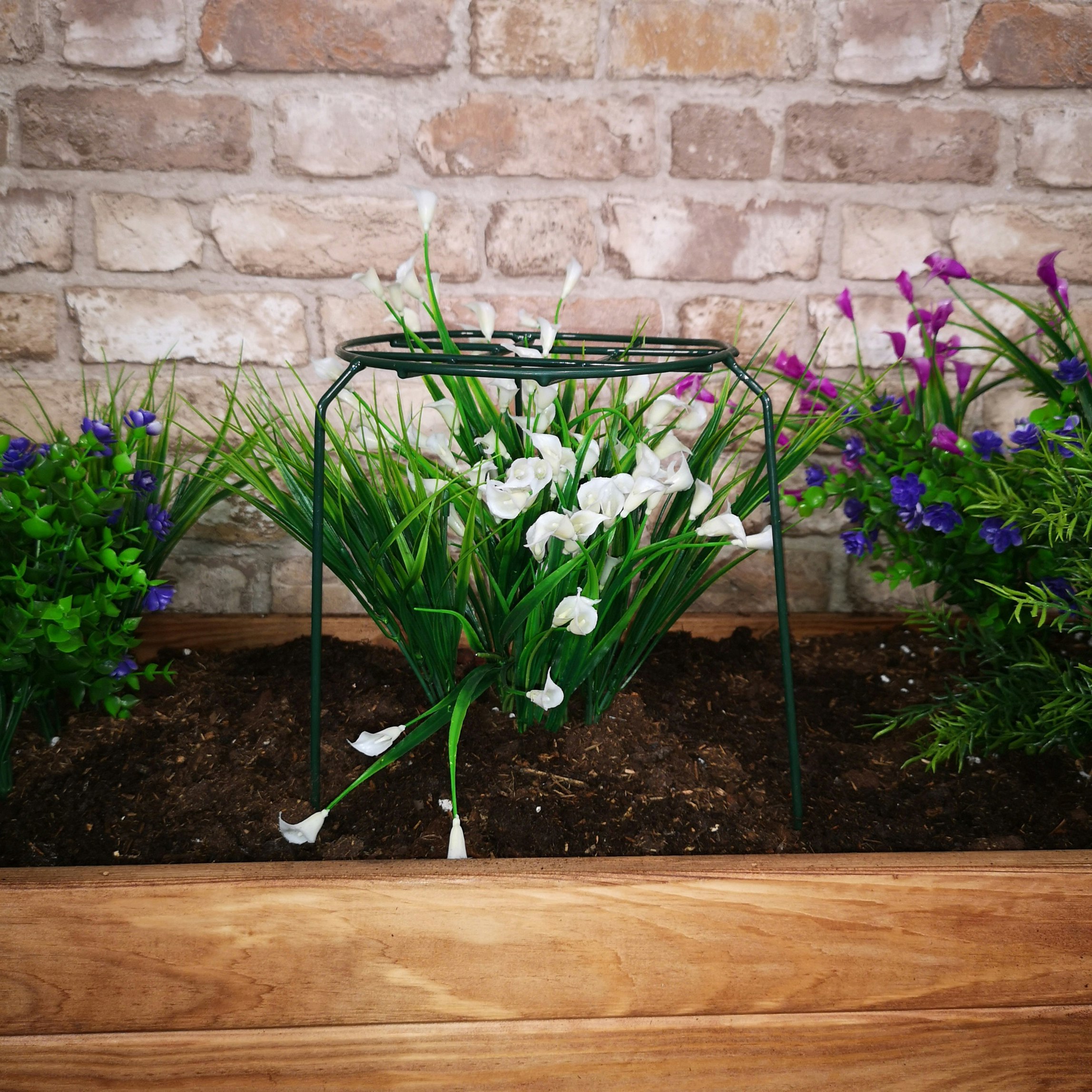 Samuel Alexander Dark/Green Urban Metal Herbaceous Garden Plant Support Grow Through 40Cm X 20Cm Small