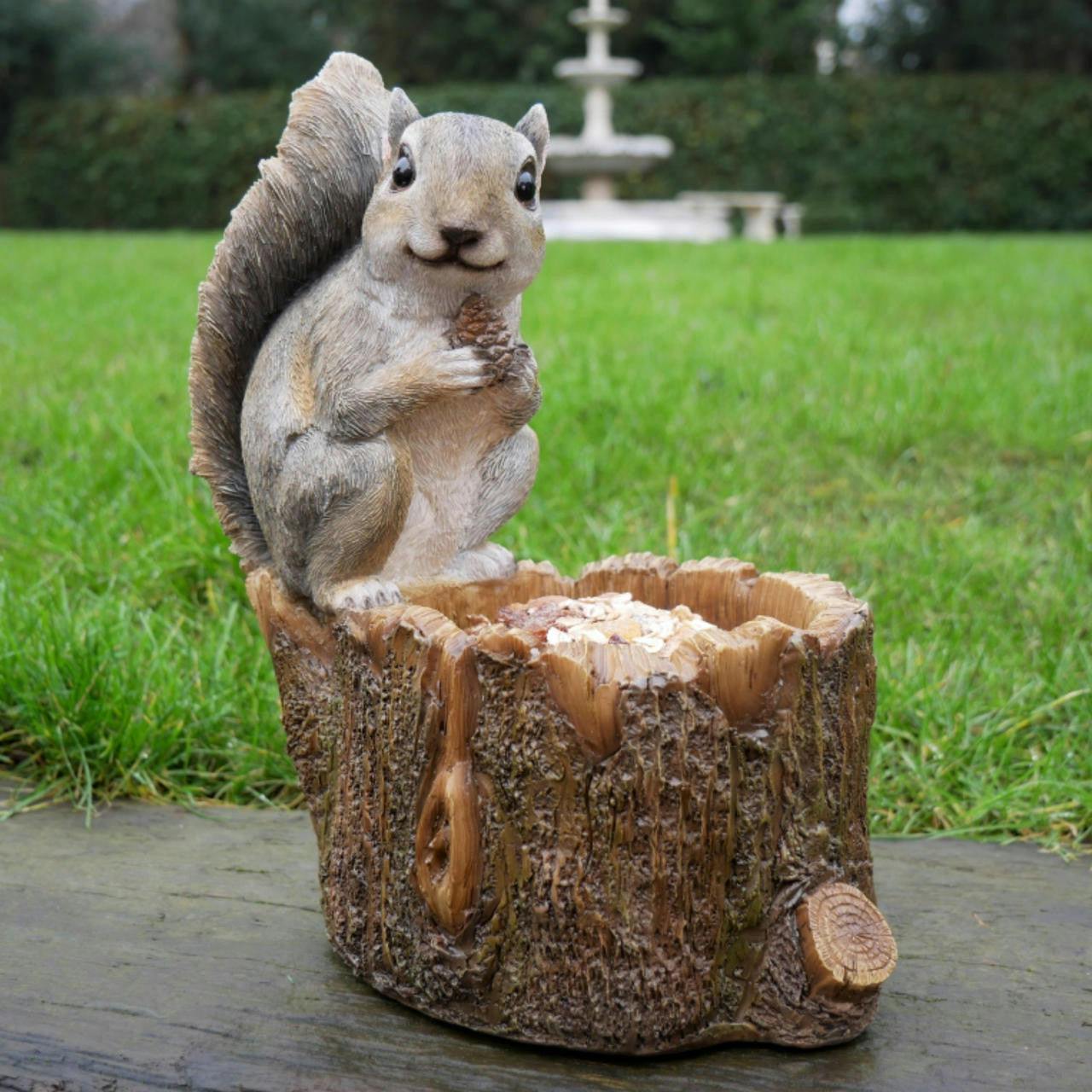 Rackhams Squirrel Sitting On Log Bird Feeder