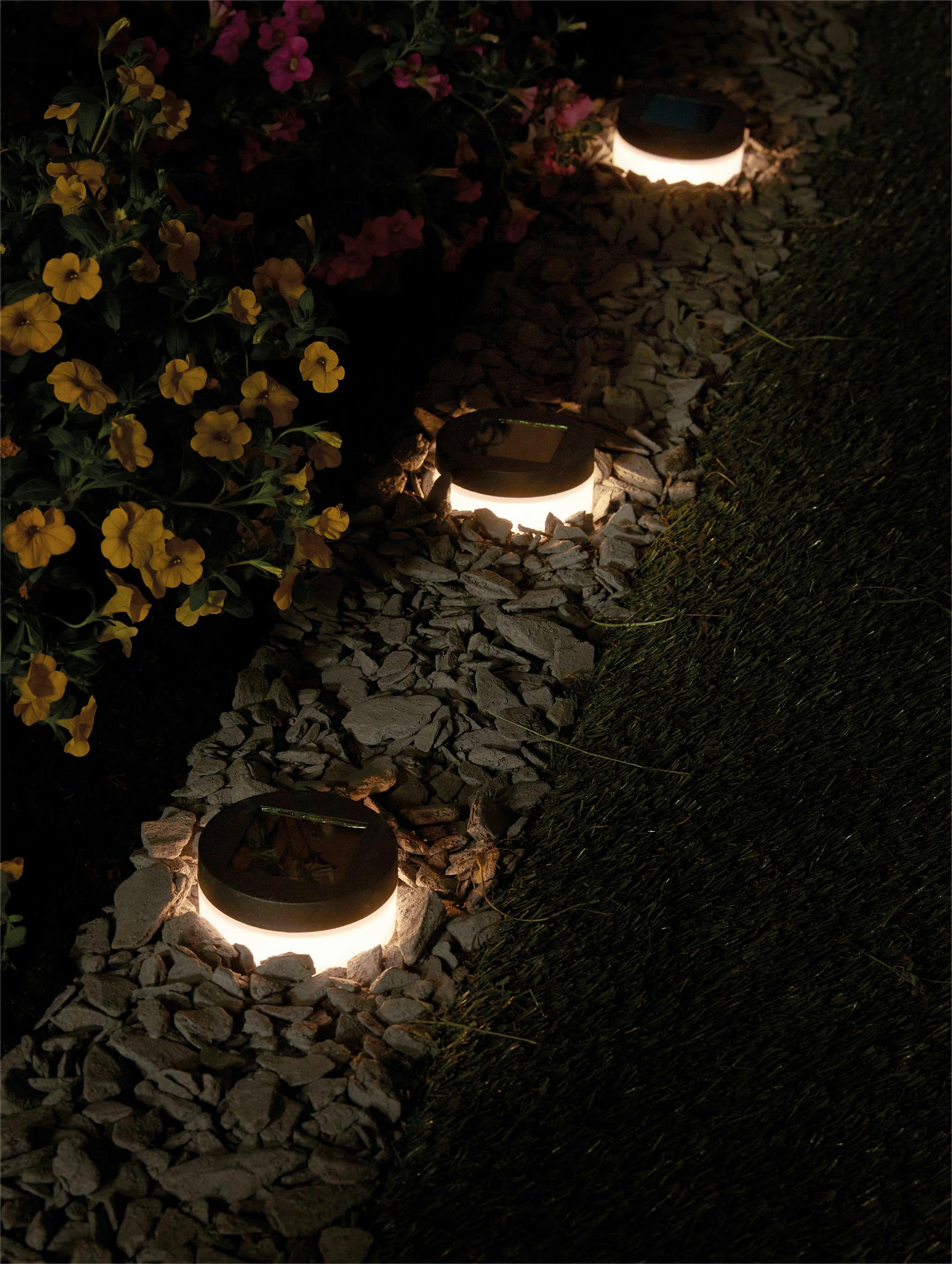 Rackhams Light Avignon Solar Ground