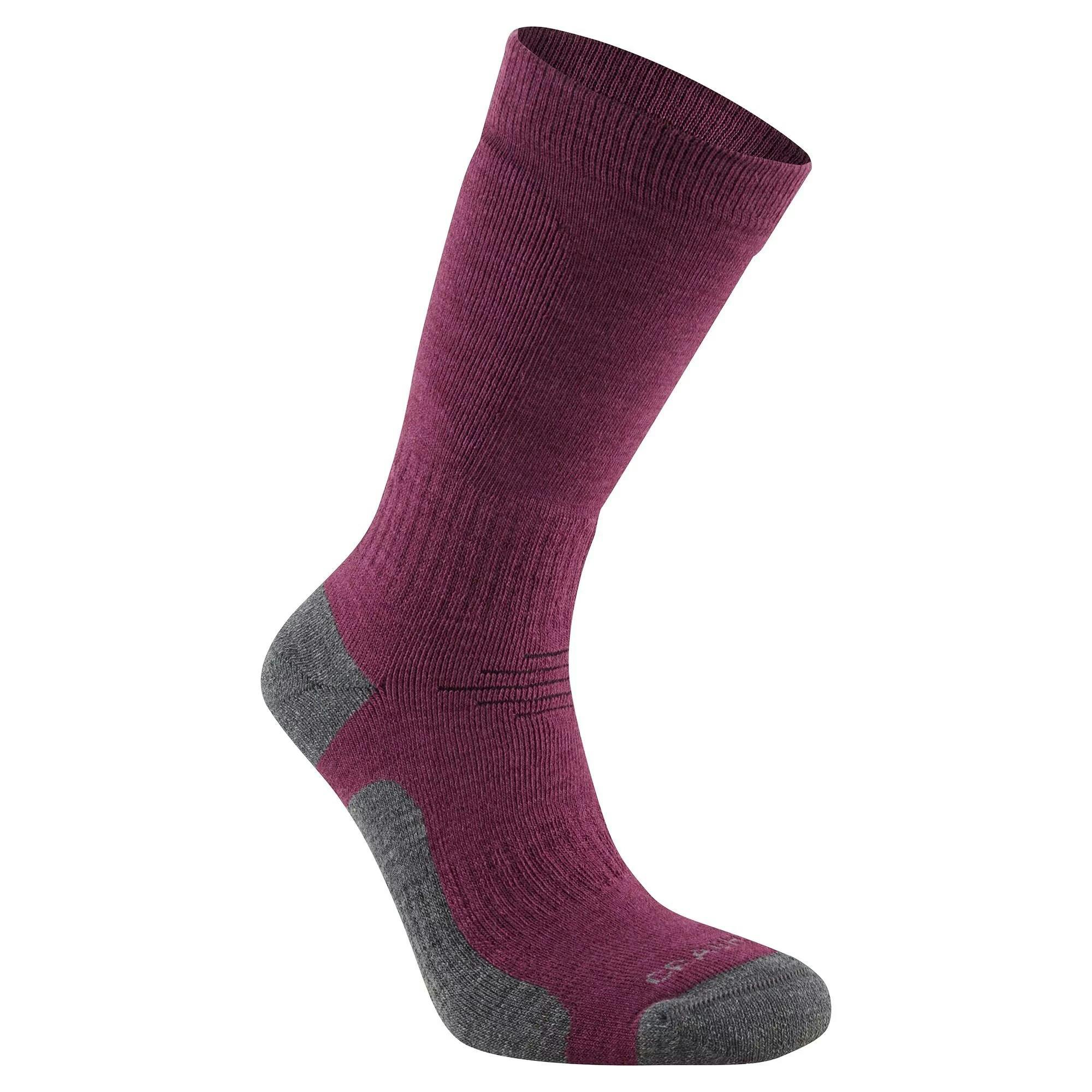 Craghoppers Unisex Purple Adult Trek Merino Wool Socks - Wildberry - Wildberry - 9 Uk-12 Uk - 38% Merino Wool/38% Polypropylene/23% Polyamide/1% Elastane