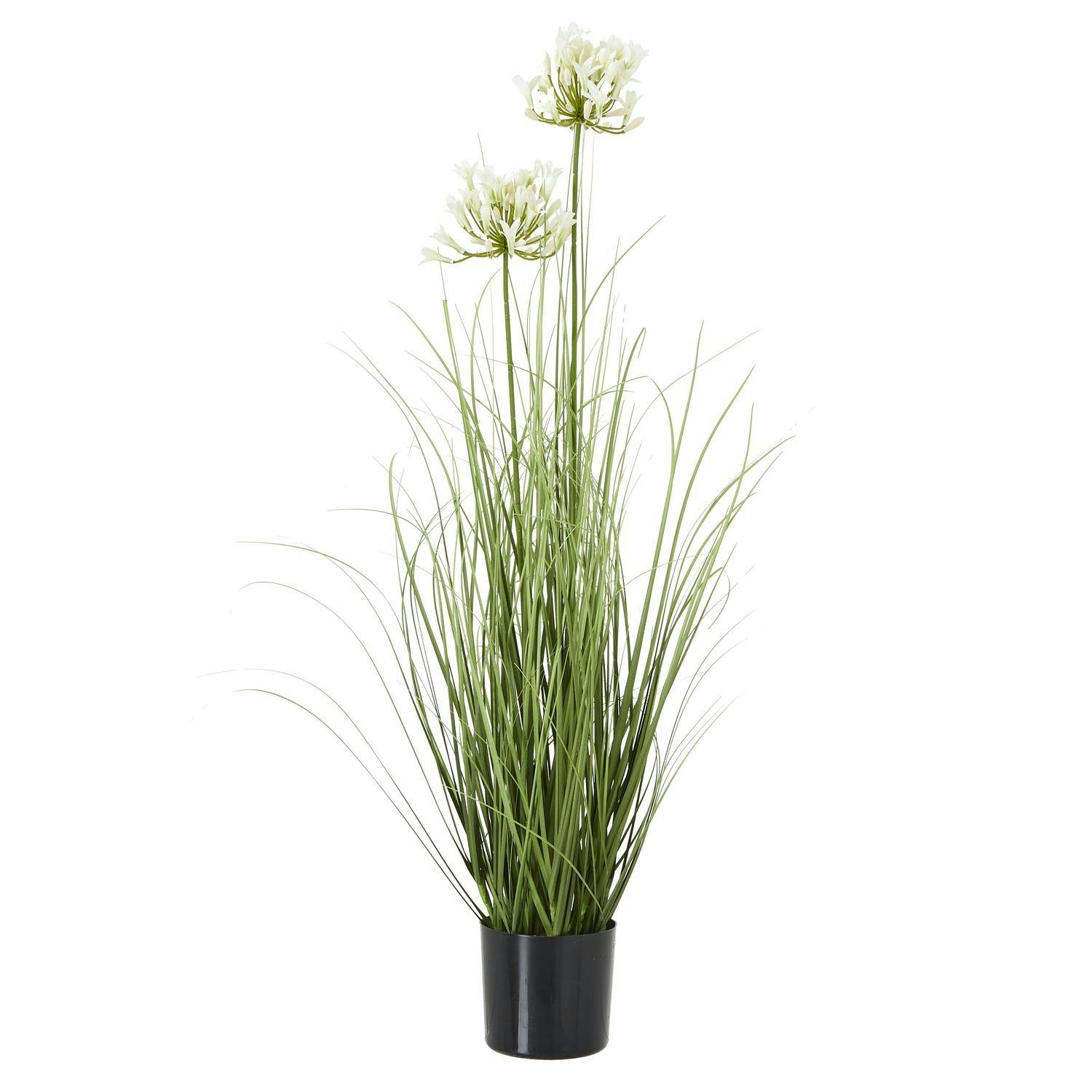 Hill Interiors Unisex White Agapanthus Plant Pot In - Image 2