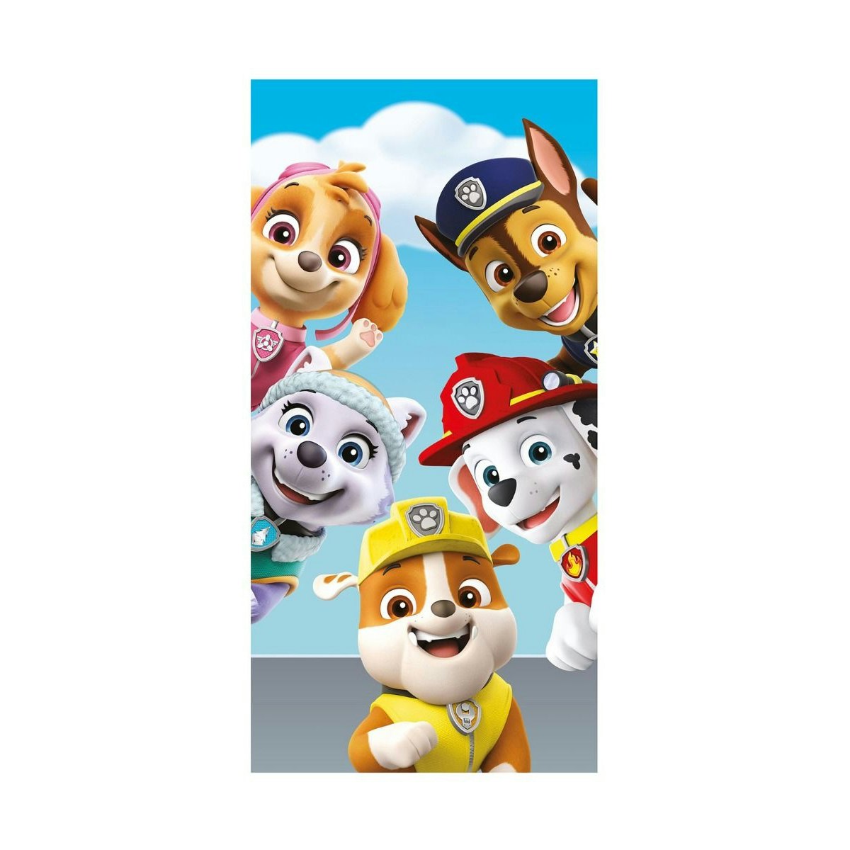Paw Patrol Characters Cotton Towel - Multicoloured - Multicoloured - One Size