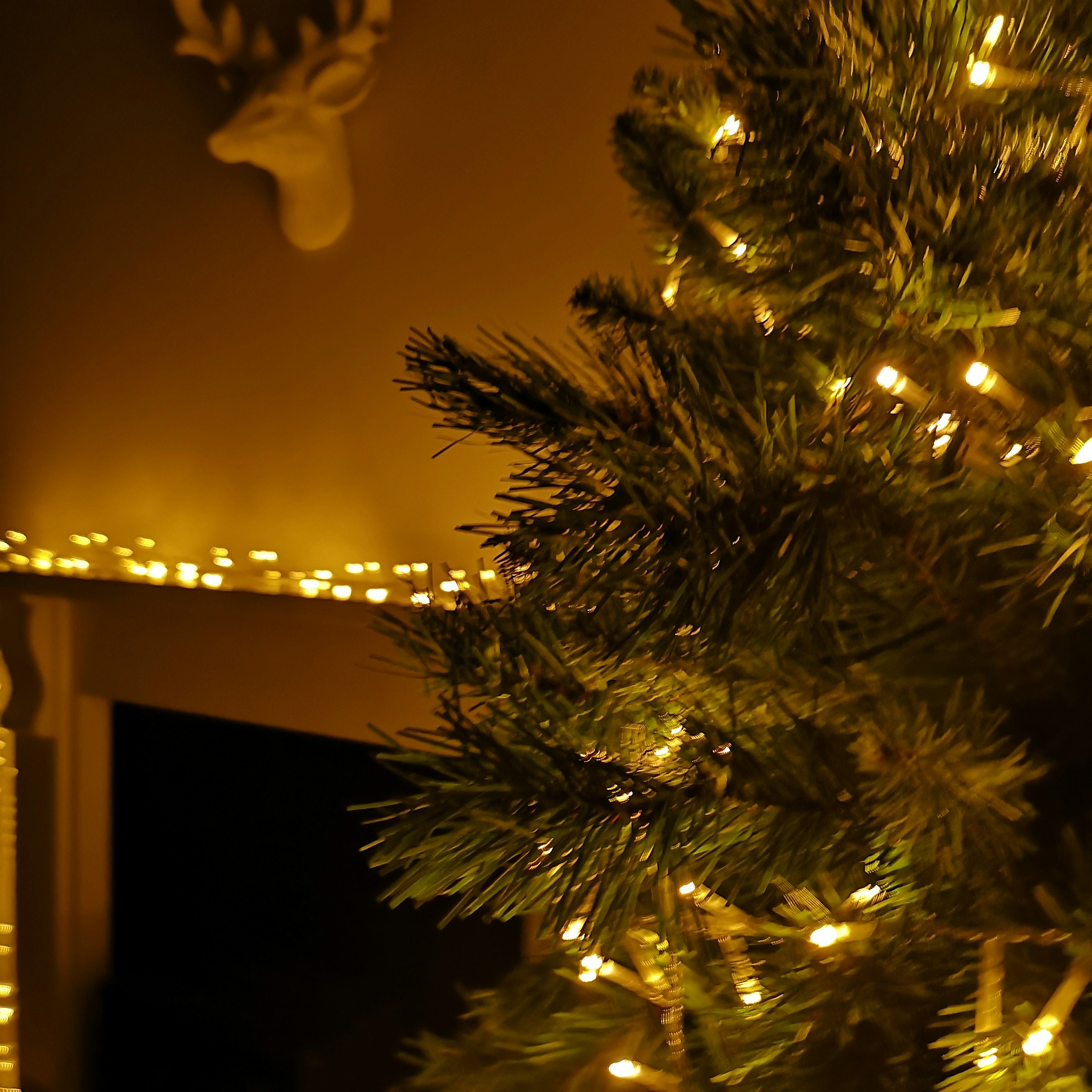 Rackhams Gold 18.7M 750 Led Treebrights Christmas String Lights With Timer In Vintage On Clear Cable