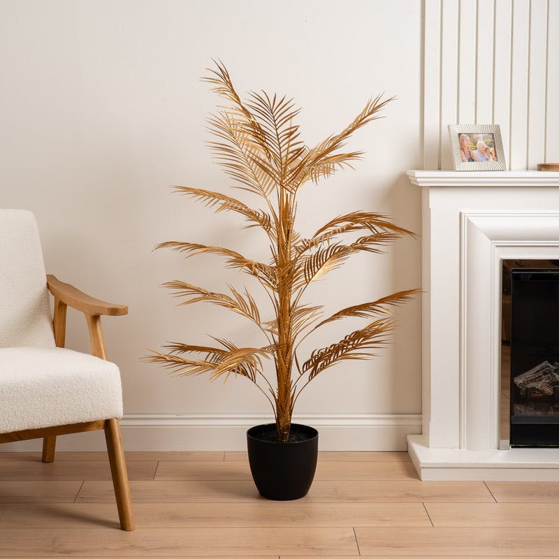 Scottish Everlastings Gold Palm 122Cm