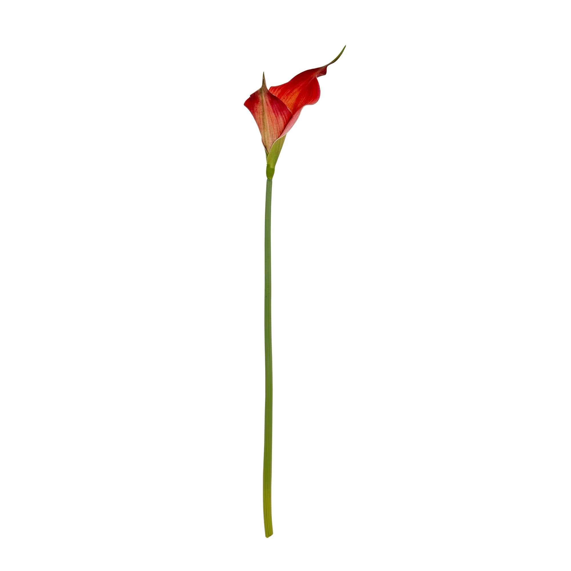 Hill Interiors Red/Green Fireball Calla Lily Artificial Flower - // - One Size, One Size