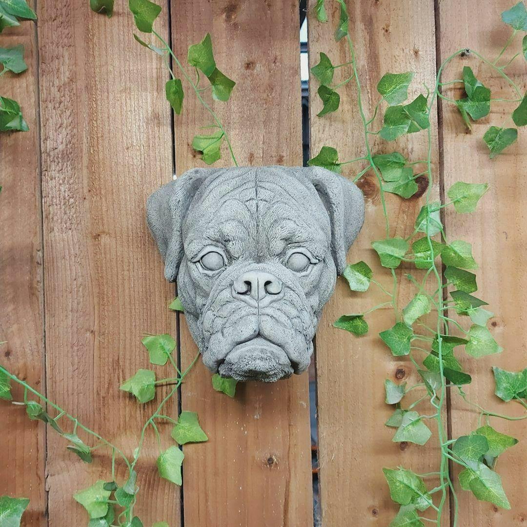 Rackhams Boxer Dog Head Stone Wall Plaque