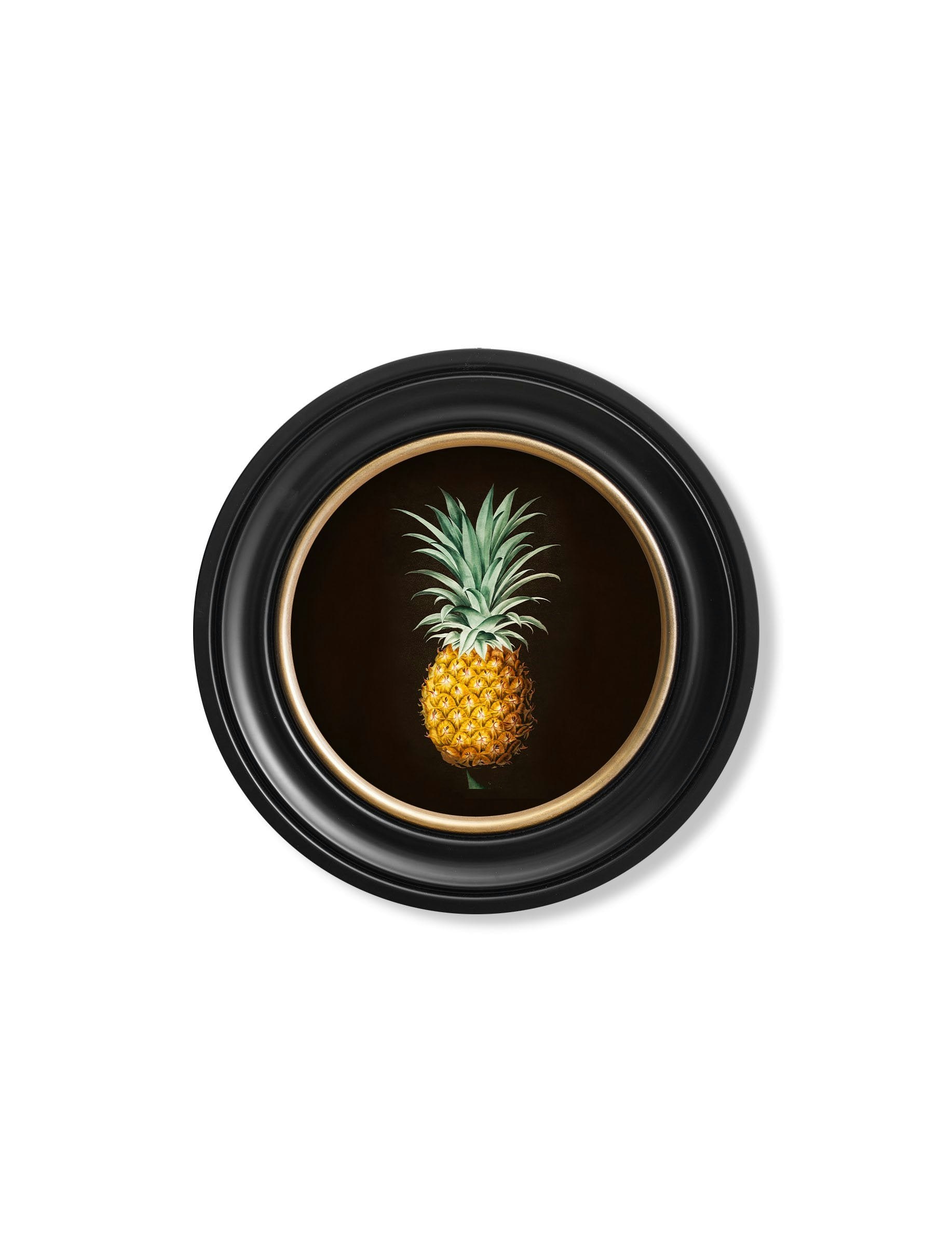 Rackhams Black C.1812 Pineapple Study (Black) - Round Frame - 44 X 44 Cm - Oxford Round