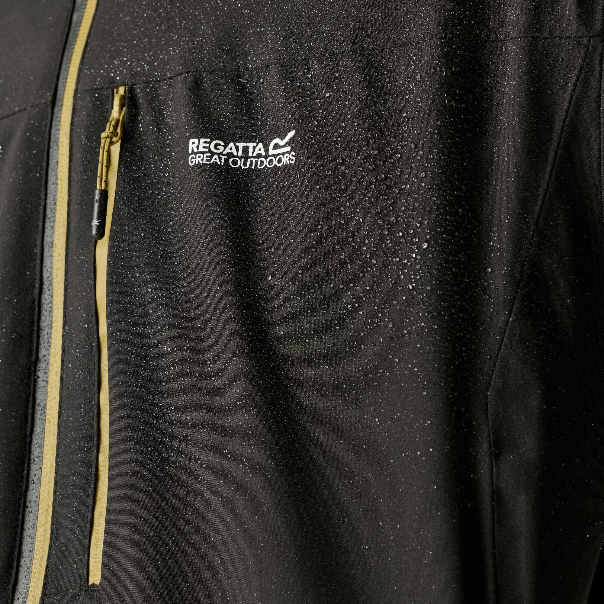 Regatta Men's Black/Brown Birchdale Ii Waterproof Jacket - /Wood - L - /Wood - 100% Recycled Polyester