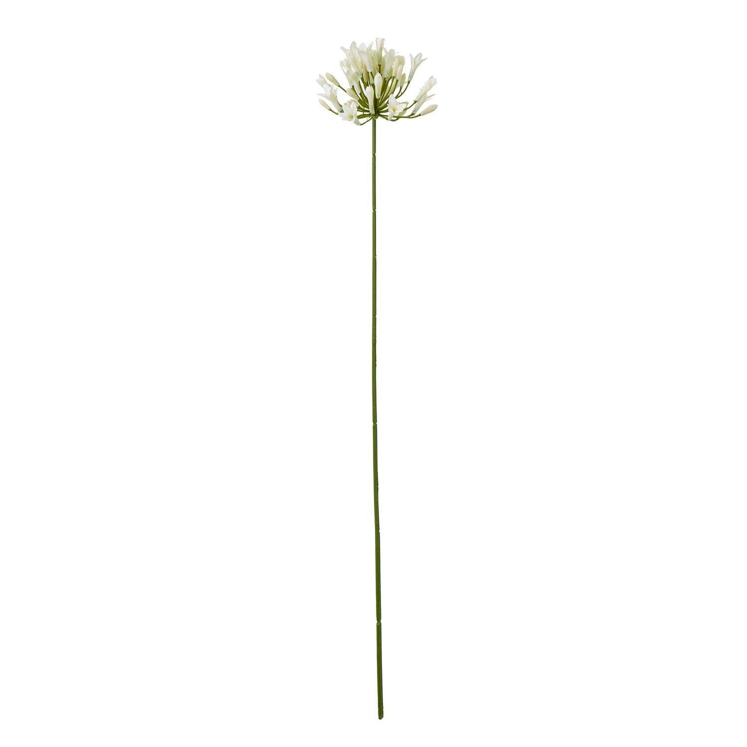 Hill Interiors Cream Agapanthus Artificial Flower Spray - One Size - 100% Mixed