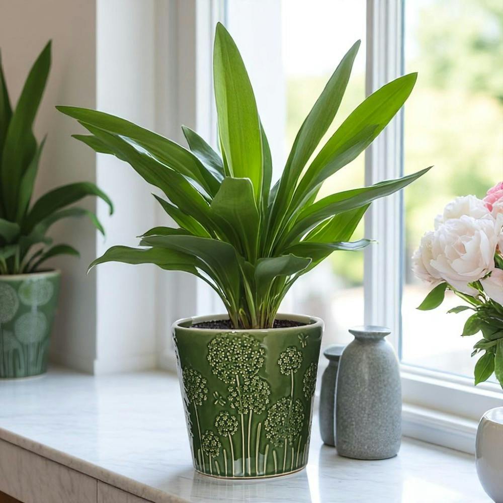 Kingsbury Gifts Green Lithgow Ceramic Plant Pot H13.5 X W14.5cm - Ceramic - Plant Pot - 13.5Cm