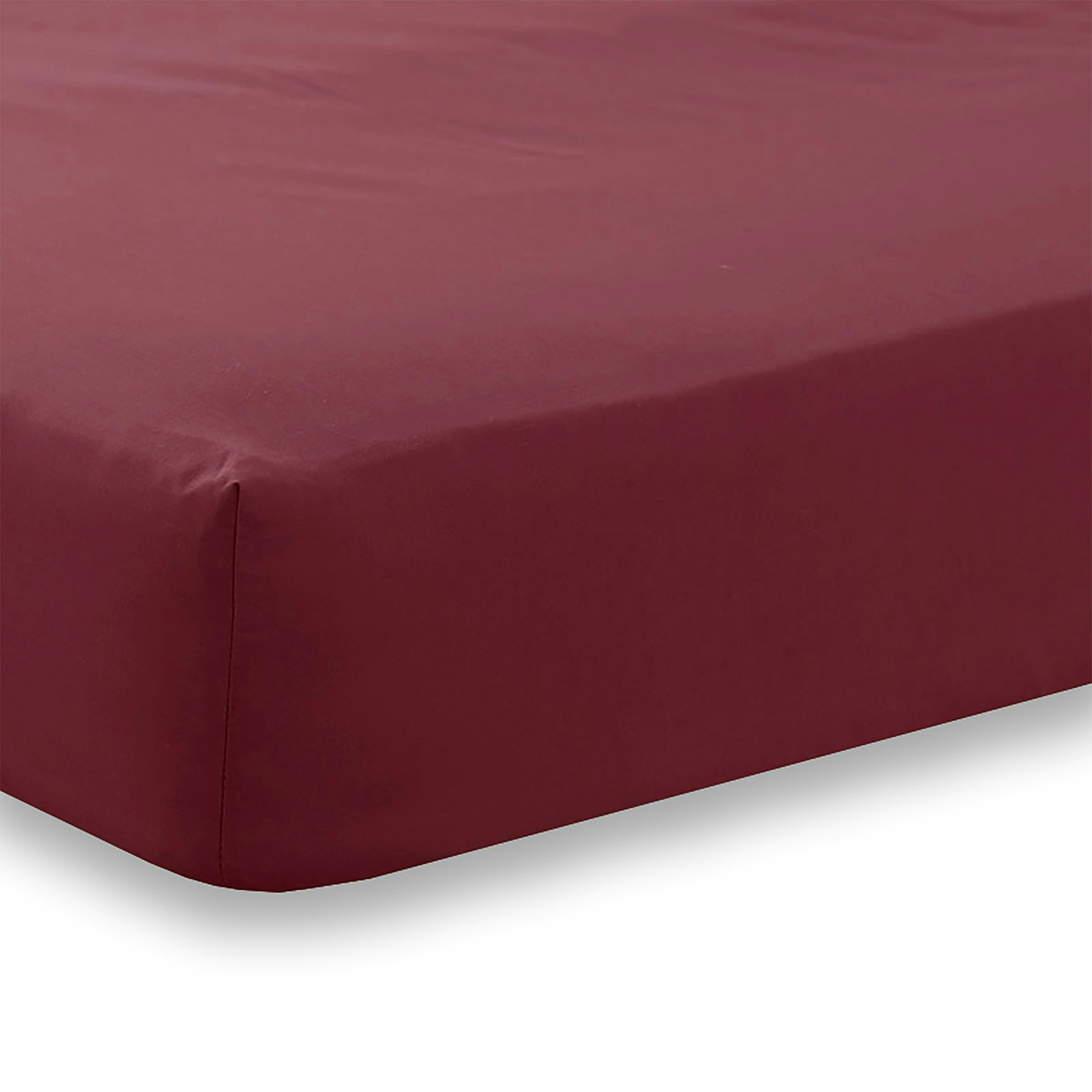 Martex Burgundy/Purple Charlotte Thomas Poetry Plain Double Fitted Sheet - 122 X 190Cm - Double - Polycotton