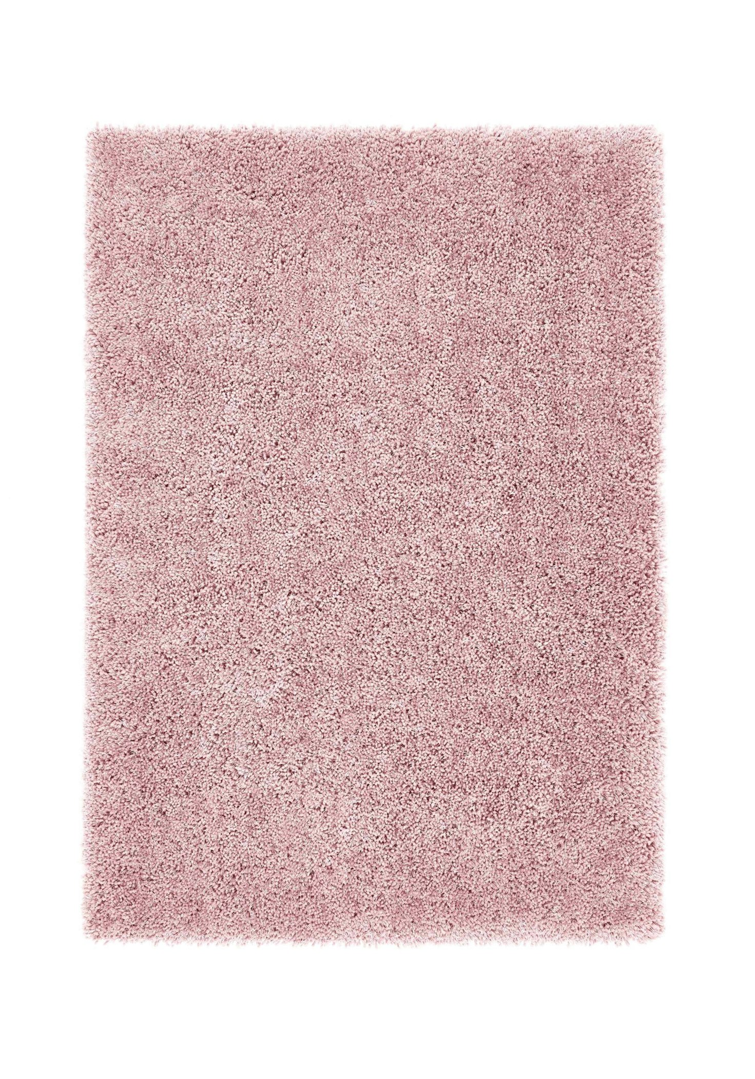 Rackhams S Chicago Rose - 110X160