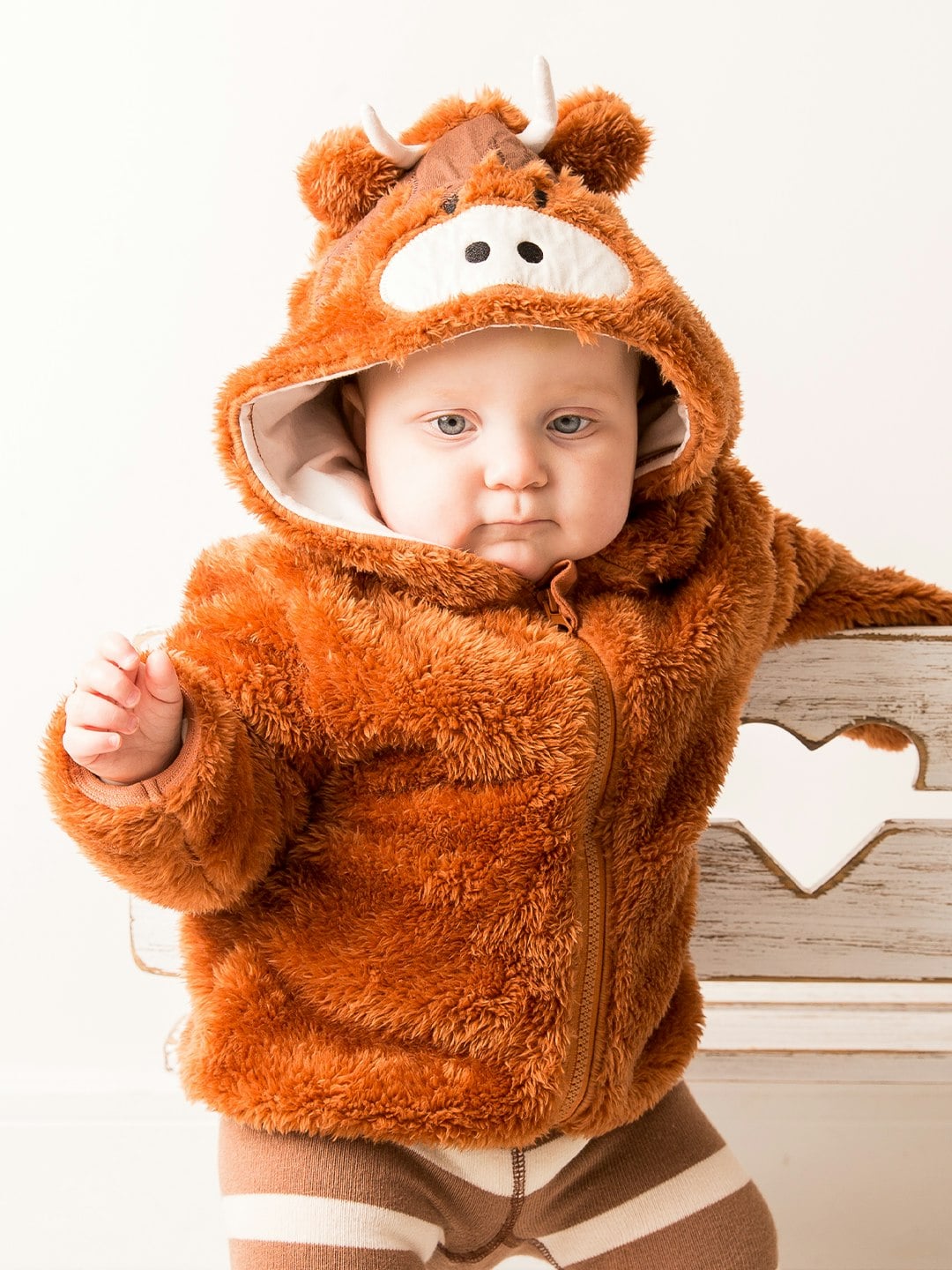 Blade & Rose Brown/White Neutral Highland Cow Hoodie - 6-12 Months