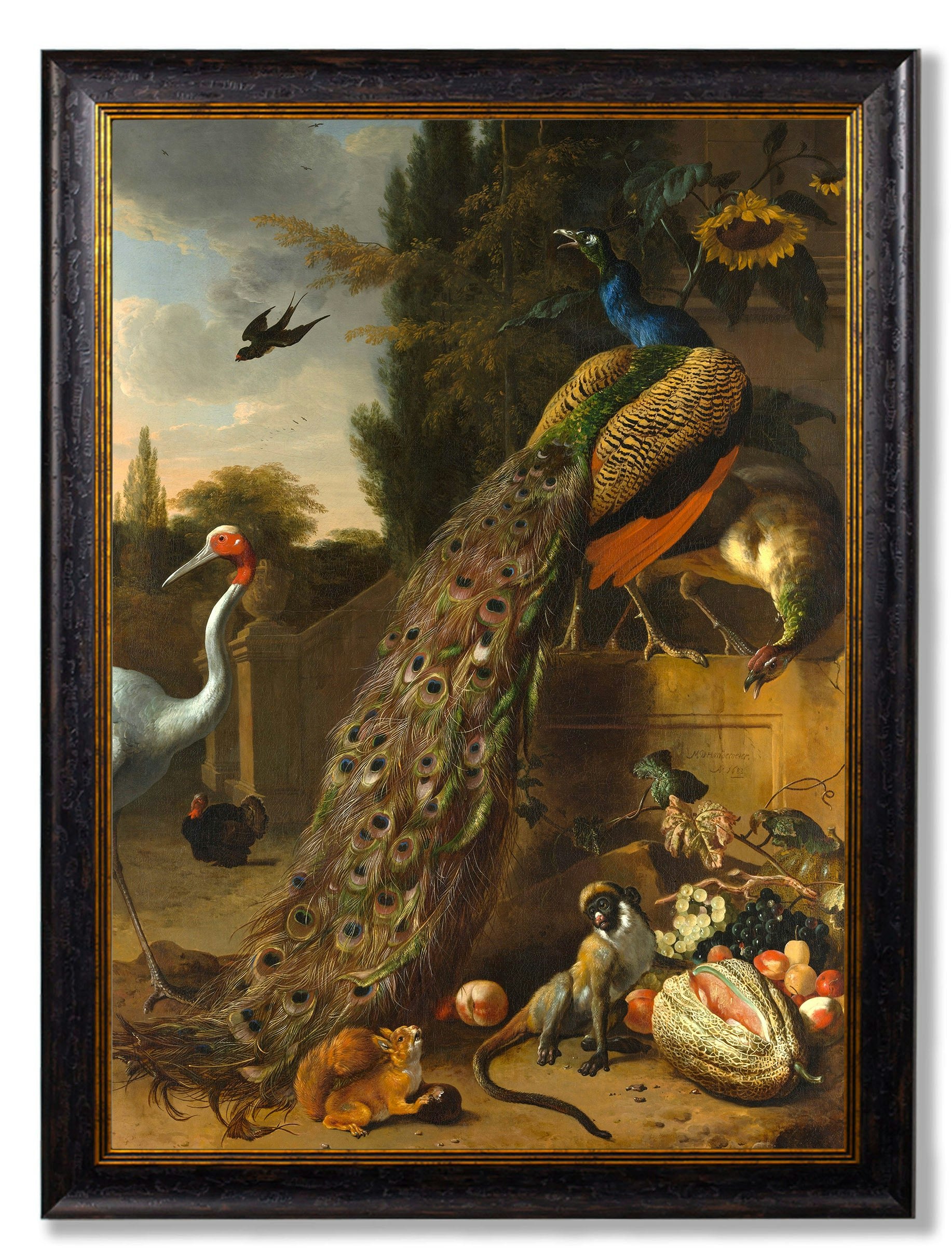Rackhams Black C.1683 Peacock Painting - 38 X 50Cm - Unmounted