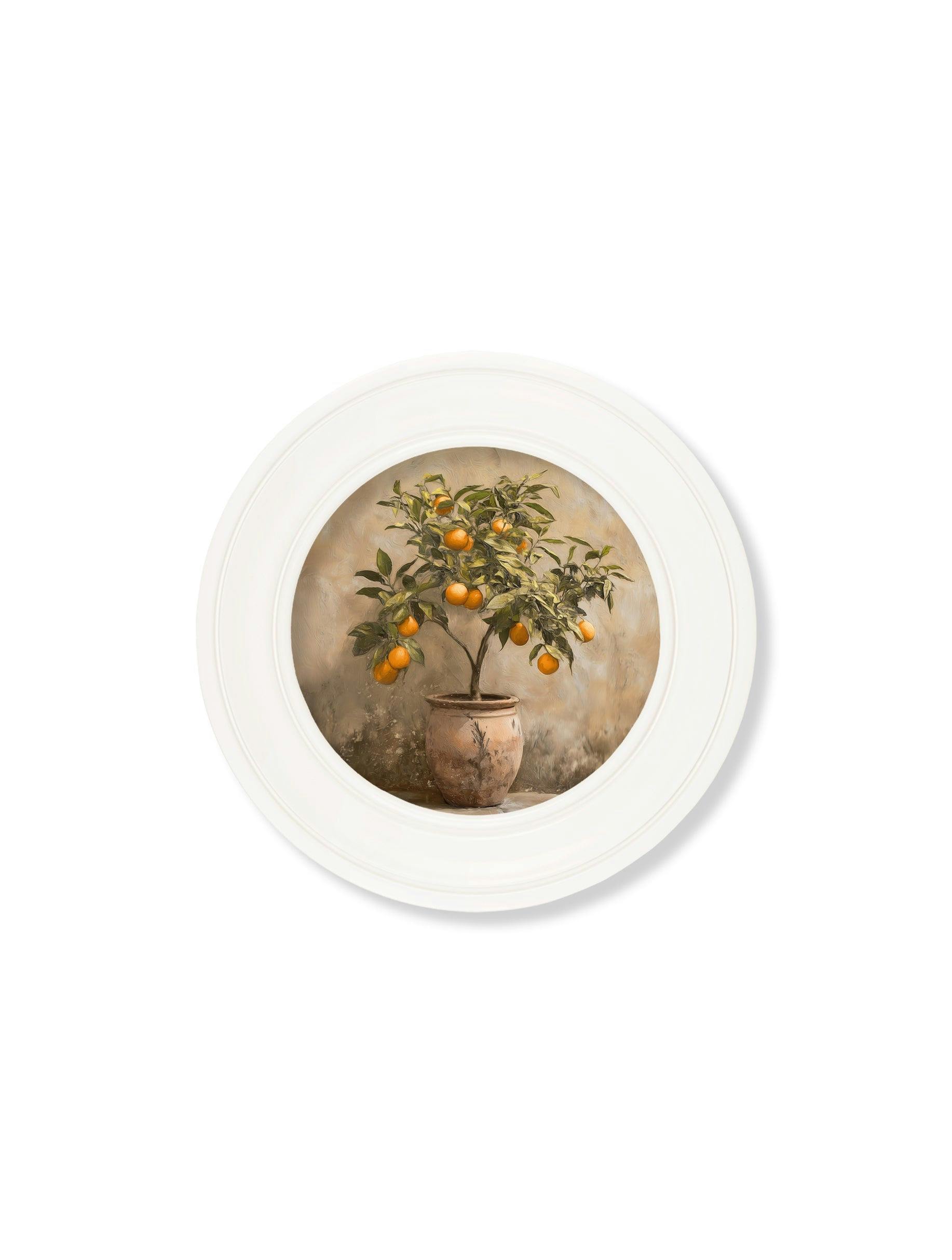 Rackhams Orange/White Mediterranean Tree - Oxford Strong Round Frame - Oxford Strong Round - Mediterranean Tree - 44 X 44 Cm