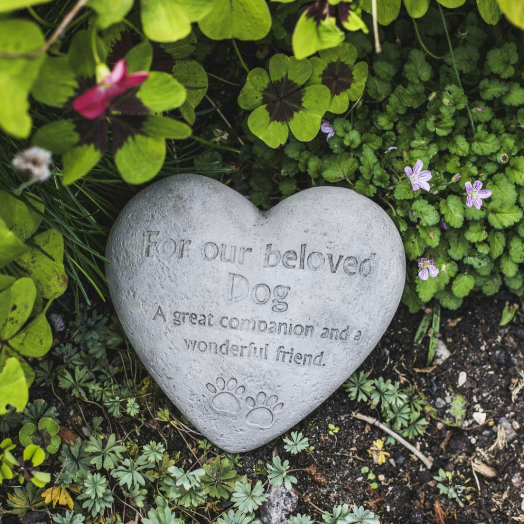 Rackhams Beloved Dog Heart-Shaped Pet Memorial