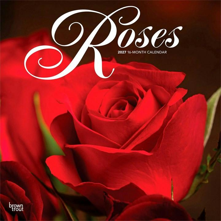 Rackhams Roses Calendar 2027, Wall Calendars, Month To View, Lifestyle, Gift - Image 4