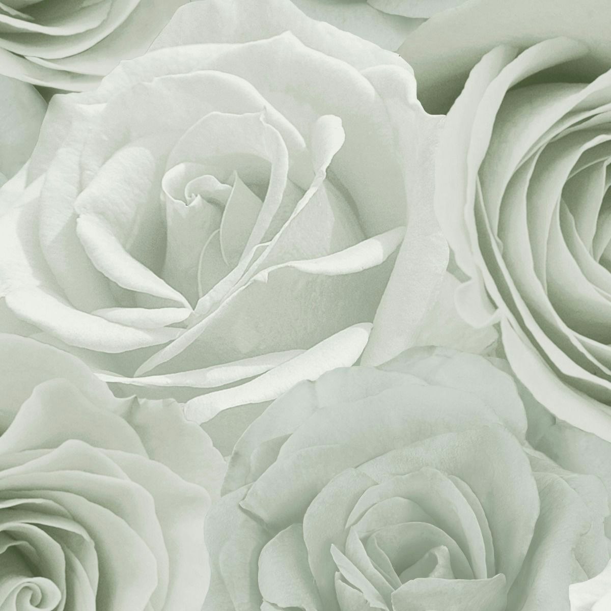 Rackhams Green Melany Rose Wallpaper - Sage - Sage - 10M X 53Cm