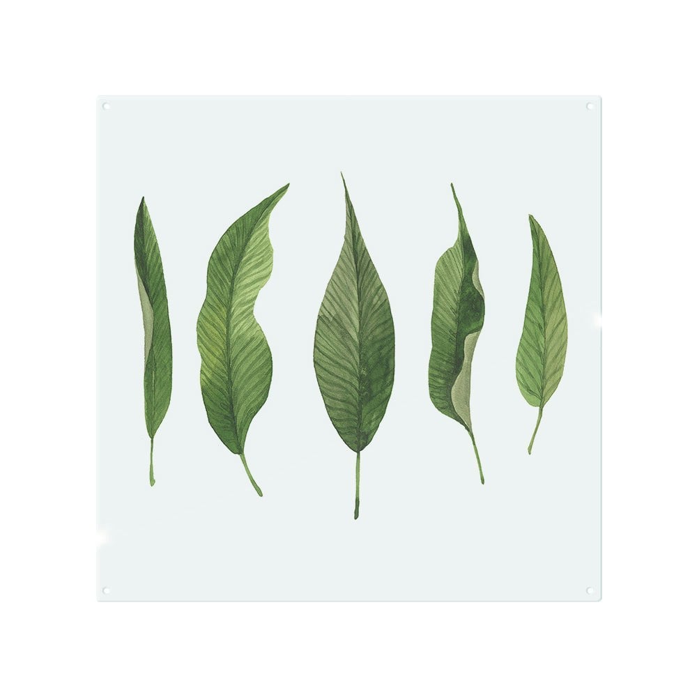 Rackhams Light Selection Of Leaves Designer Splash Back - 60 X 70Cm
