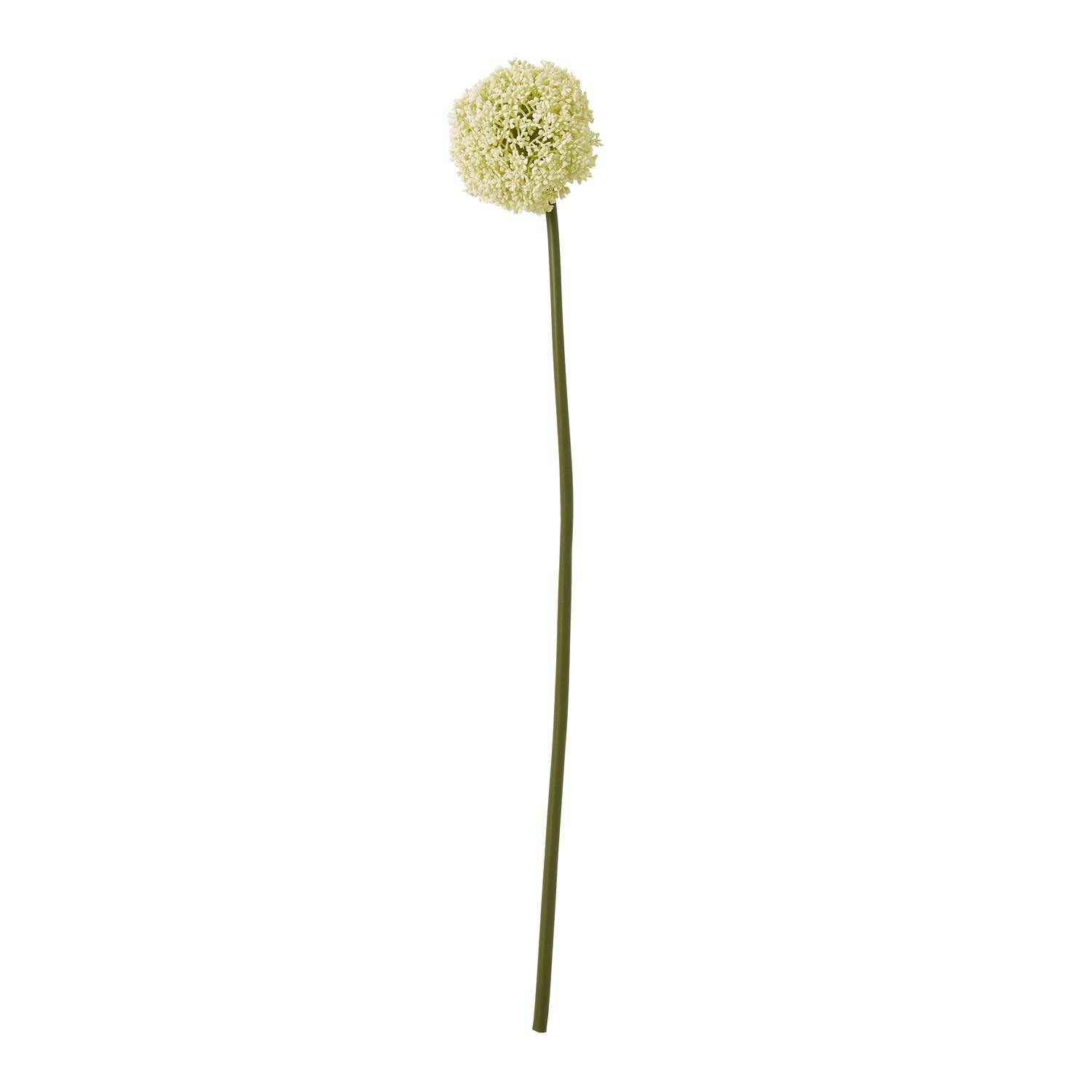 Hill Interiors Cream Allium Stem Artificial Plant - 90Cm - 100% Mixed