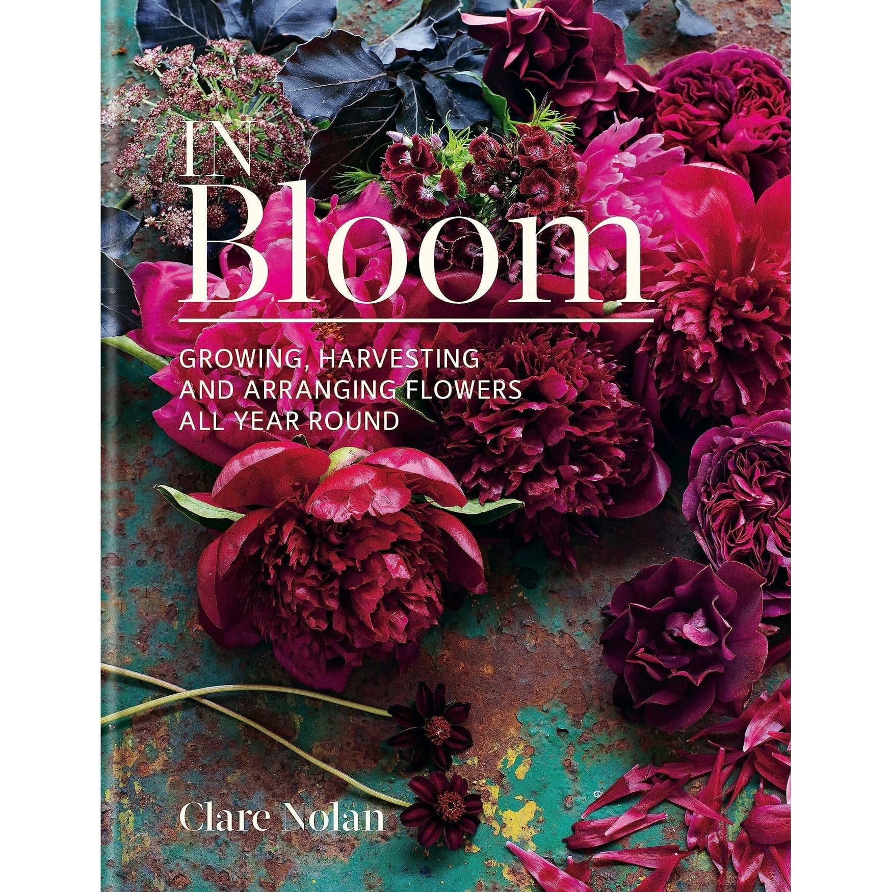 In Bloom By Clare Nolan - Image 22