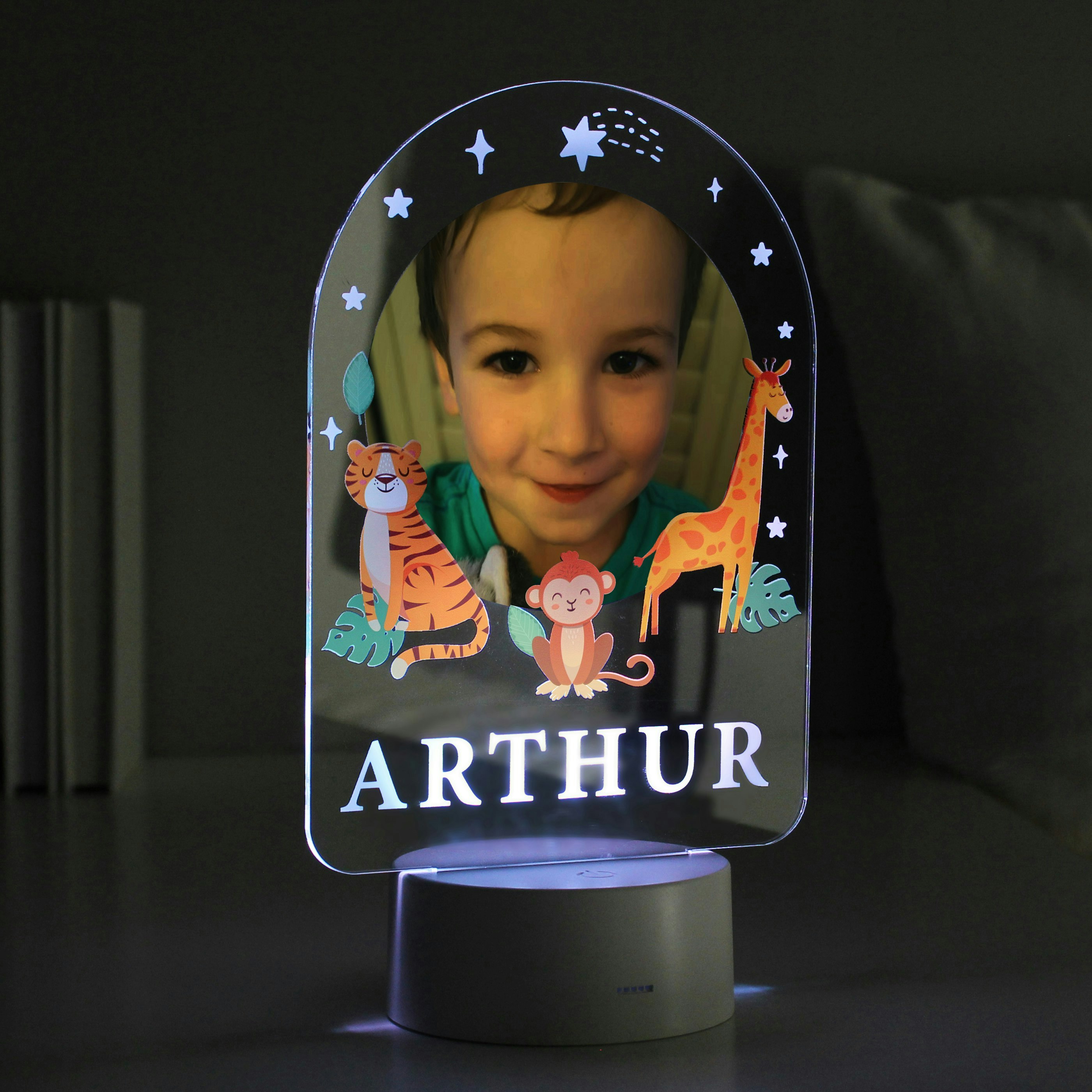 Rackhams Light Personalised Animal Photo Upload Led Colour Changing Night