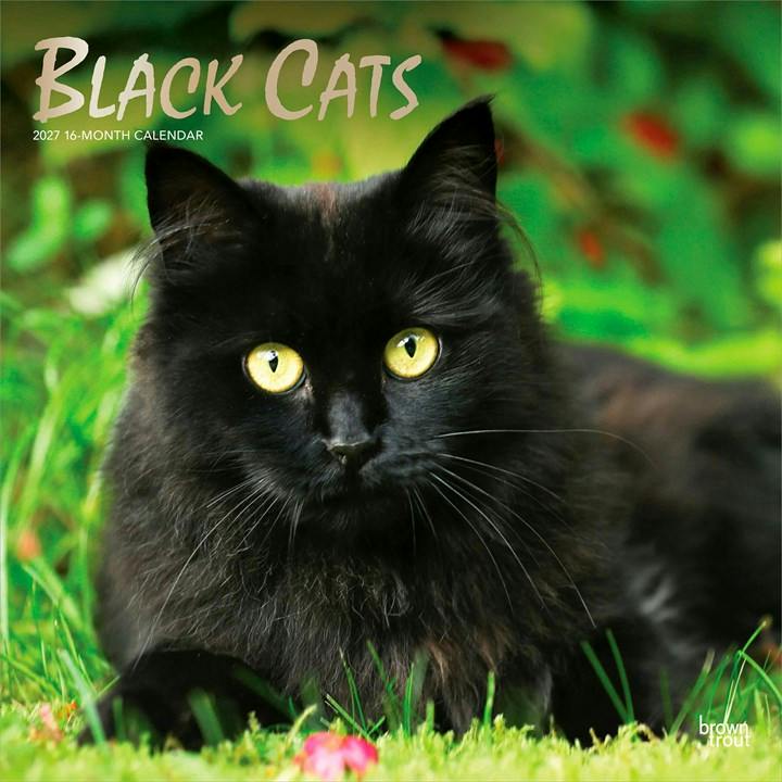 Black Cats 2027 12 X 24 Inch (Hanging) Monthly Square Wall Ca... - 9798330711765 - Image 7