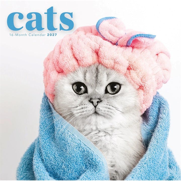 Cats Calendar 2027 - Image 3