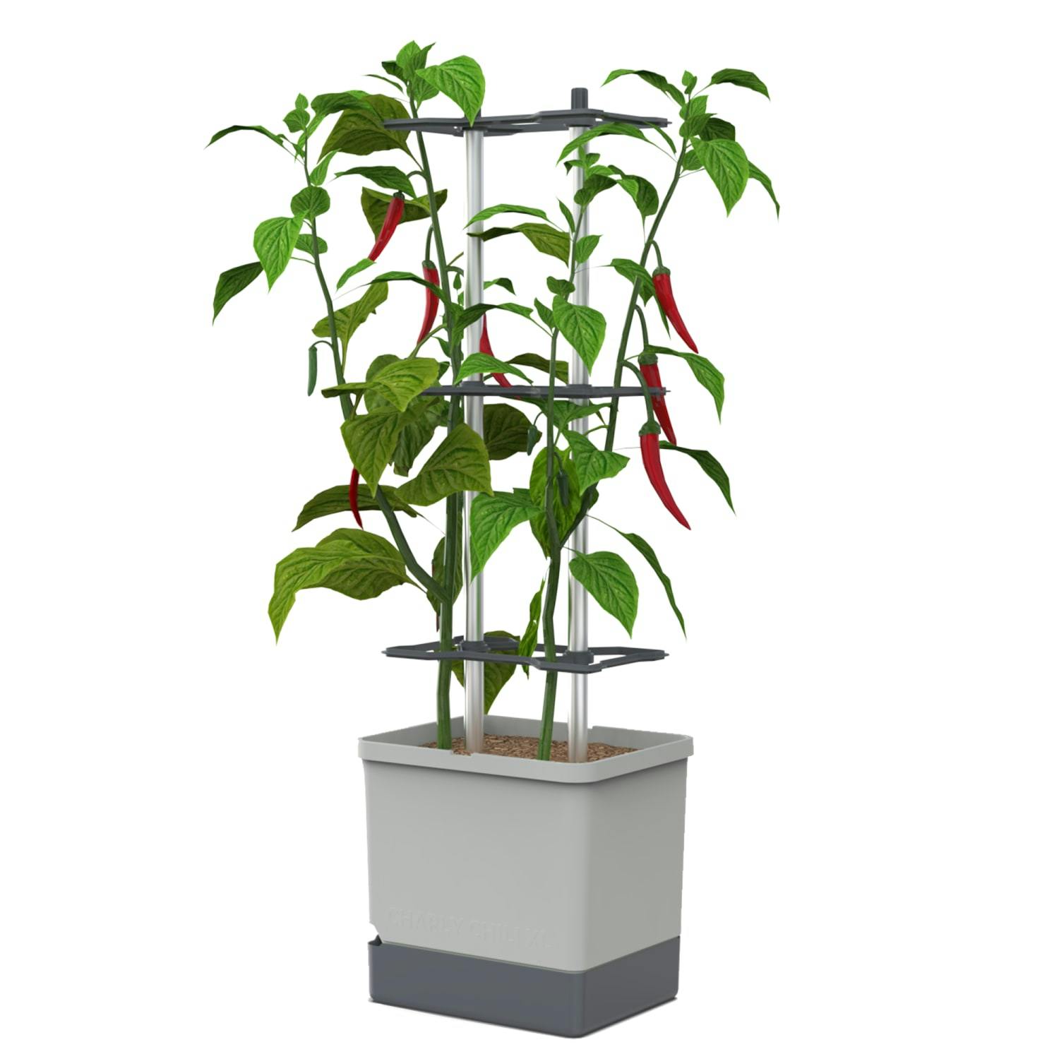 Charly Chili Regular, Planter Pot, Aluminum Climbing Aid, Self-Watering, 4.5L Water Reservoir, 10L Soil Capacity - Image 2