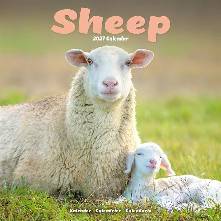 Sheep Calendar 2027 - Image 8