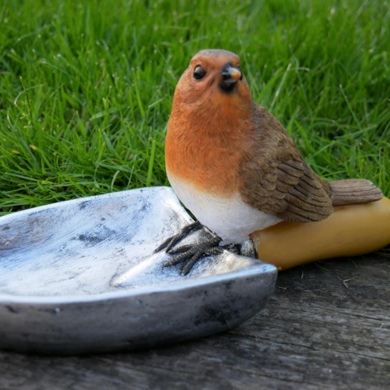 Rackhams Robin Sitting On Shovel Bird Feeder