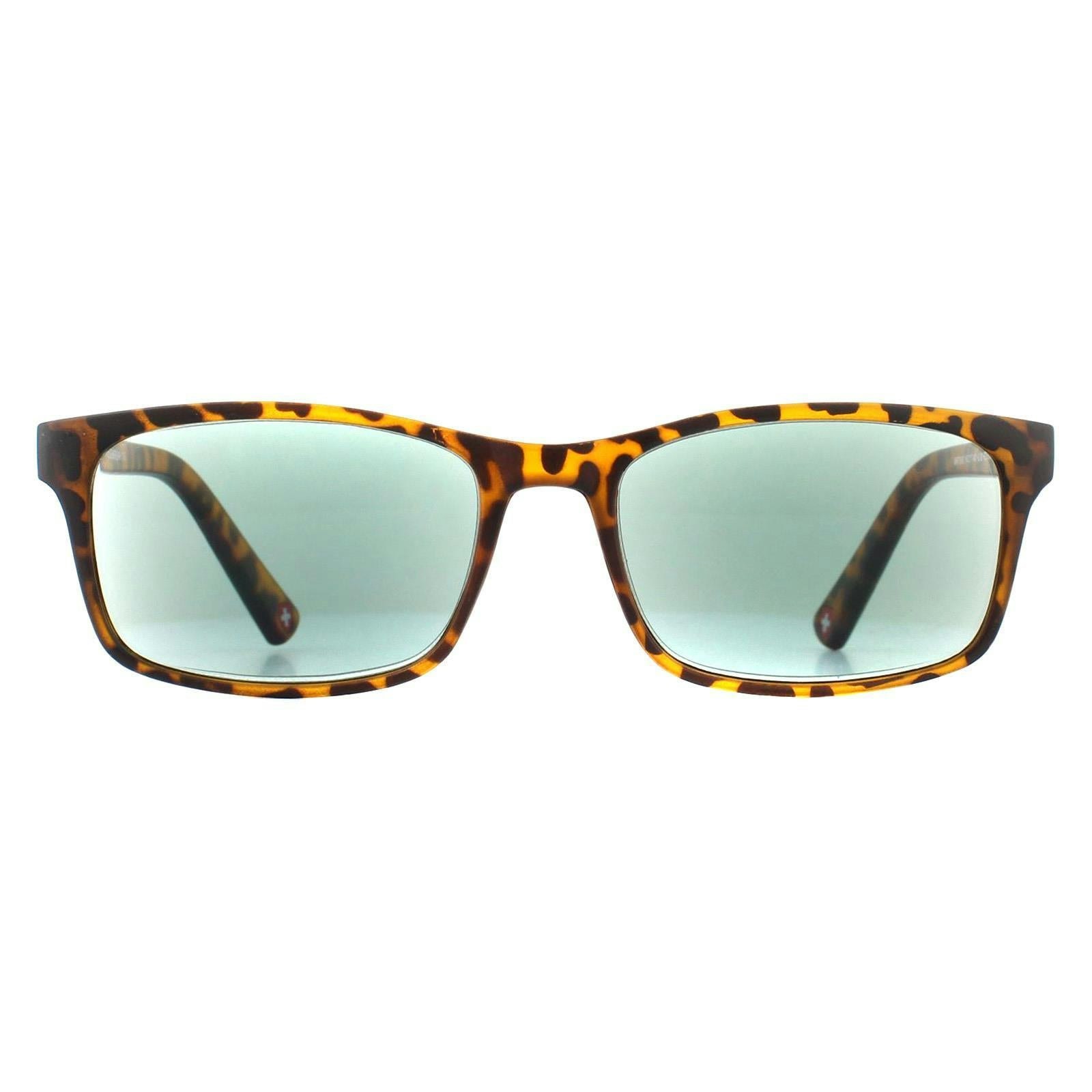 Montana Unisex Green Mr73as Havana Sunglasses