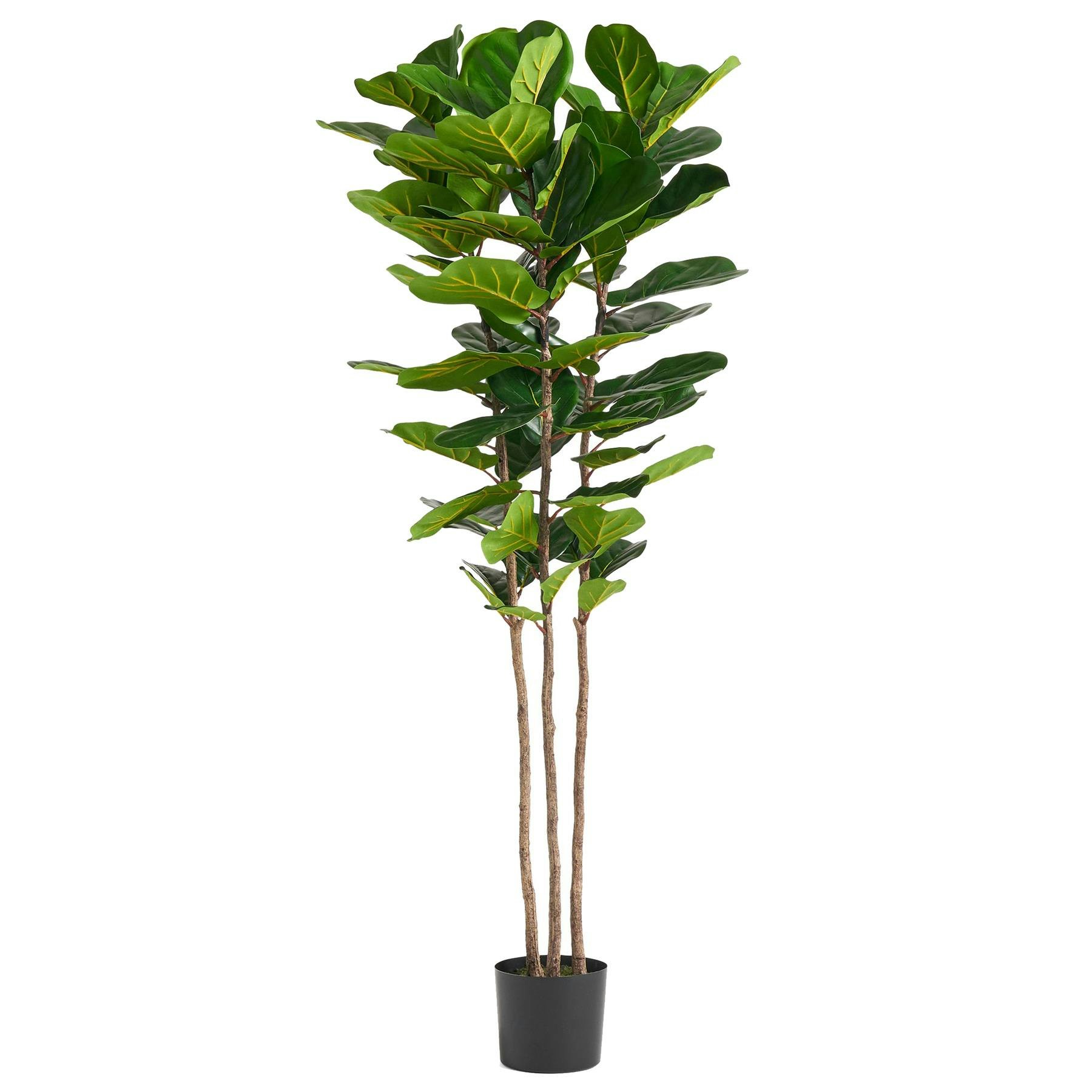 Botanik Green 180Cm Premium Artificial Fiddle Leaf Fig Tree - 180Cm - 180Cm