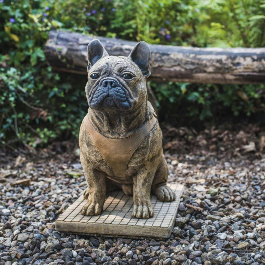 Rackhams Life-Size French Bulldog Statue