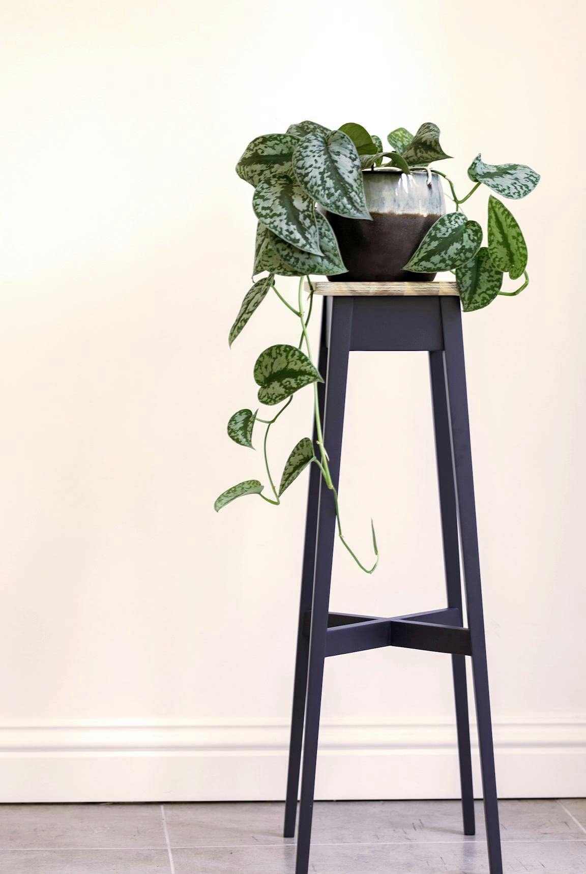Rackhams Blue Florence Plant Stand Wooden Plant Holder 80Cm Tall Ready Assembled - Navy