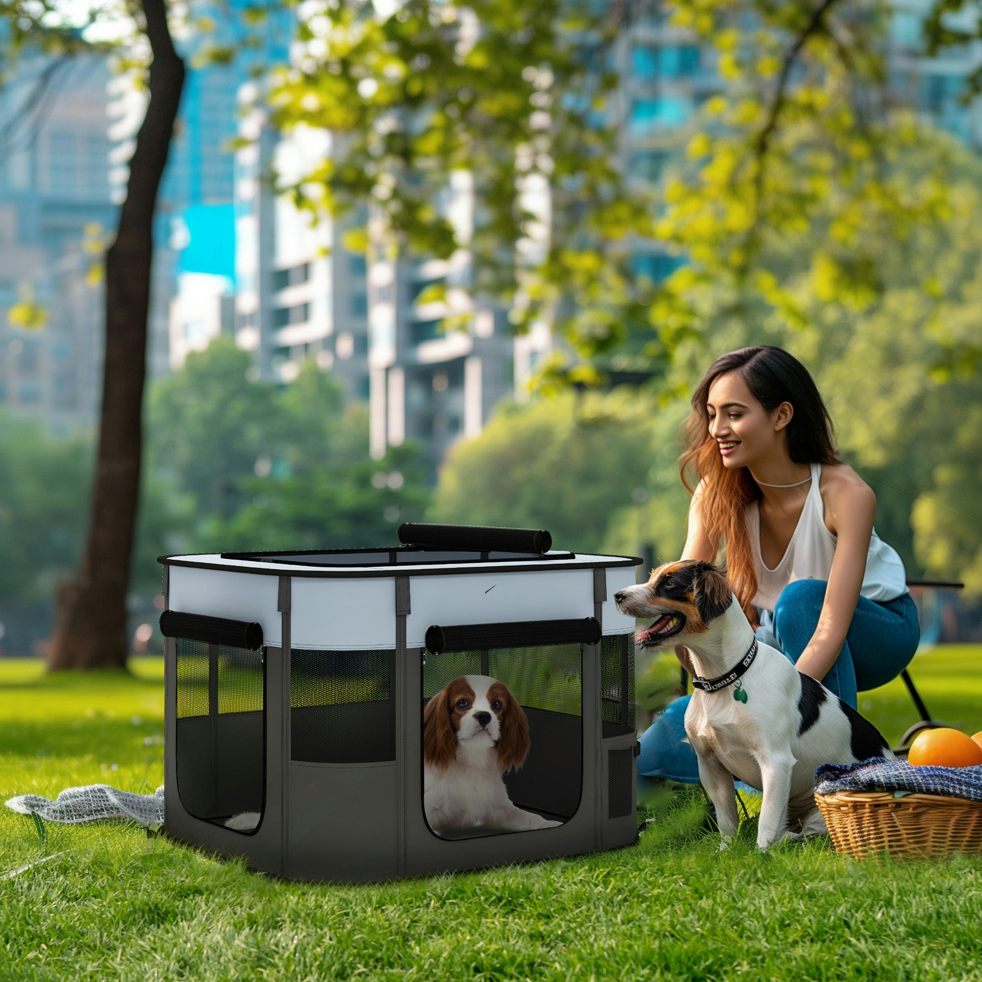 Pawhut Grey Portable Dog Pen For Puppies, Rabbits, Kittens, Guinea Pigs
