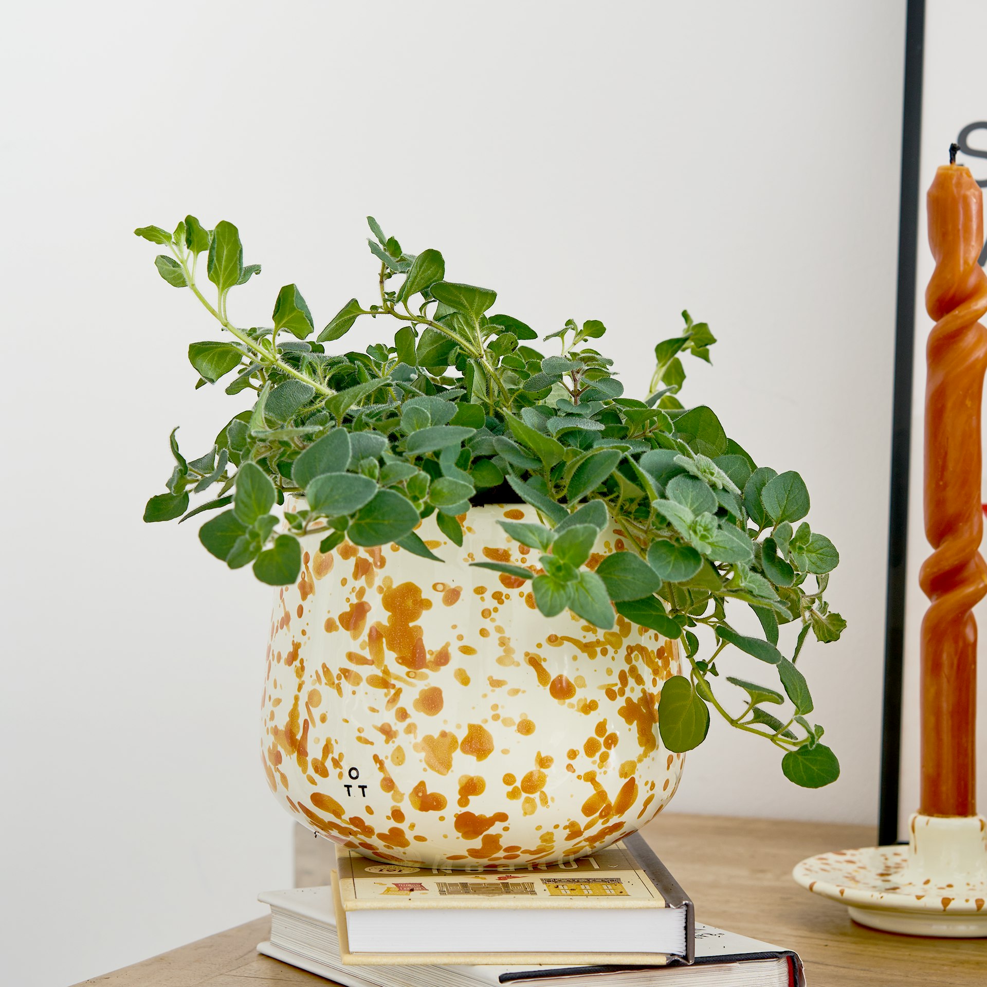 Hot Pottery Orange Indoor Planter Burnt