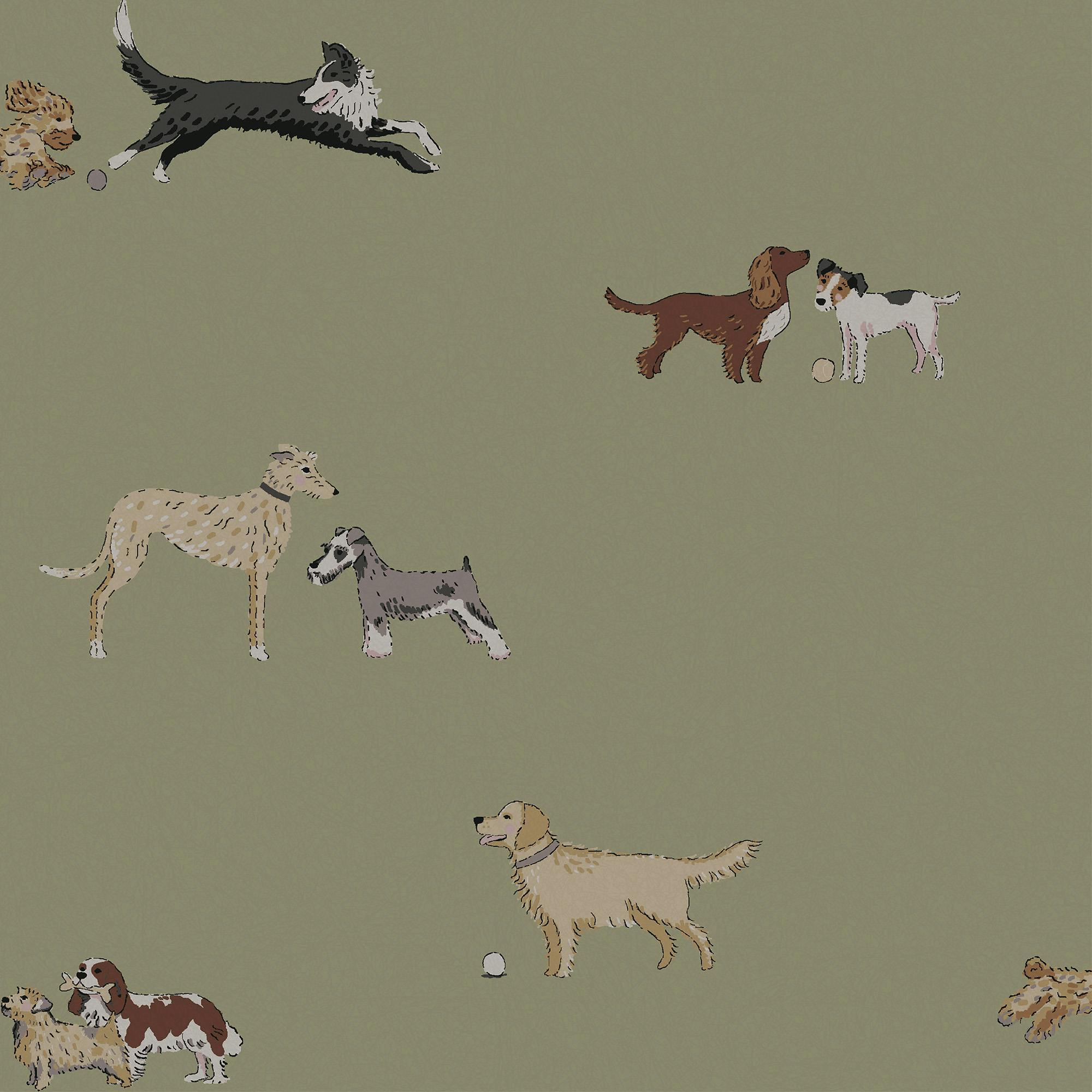 Rackhams Green Doggy Daycare Mossbank Wallpaper