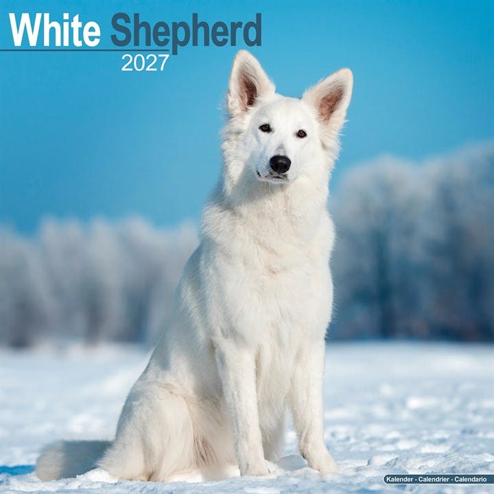 White Shepherd Avonside Publishing - Image 6