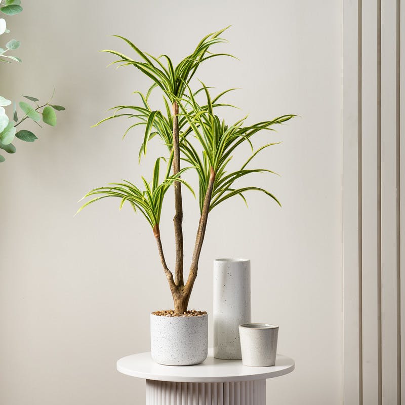 Scottish Everlastings White 90Cm Real Touch Yucca In Speckled Plastic Pot