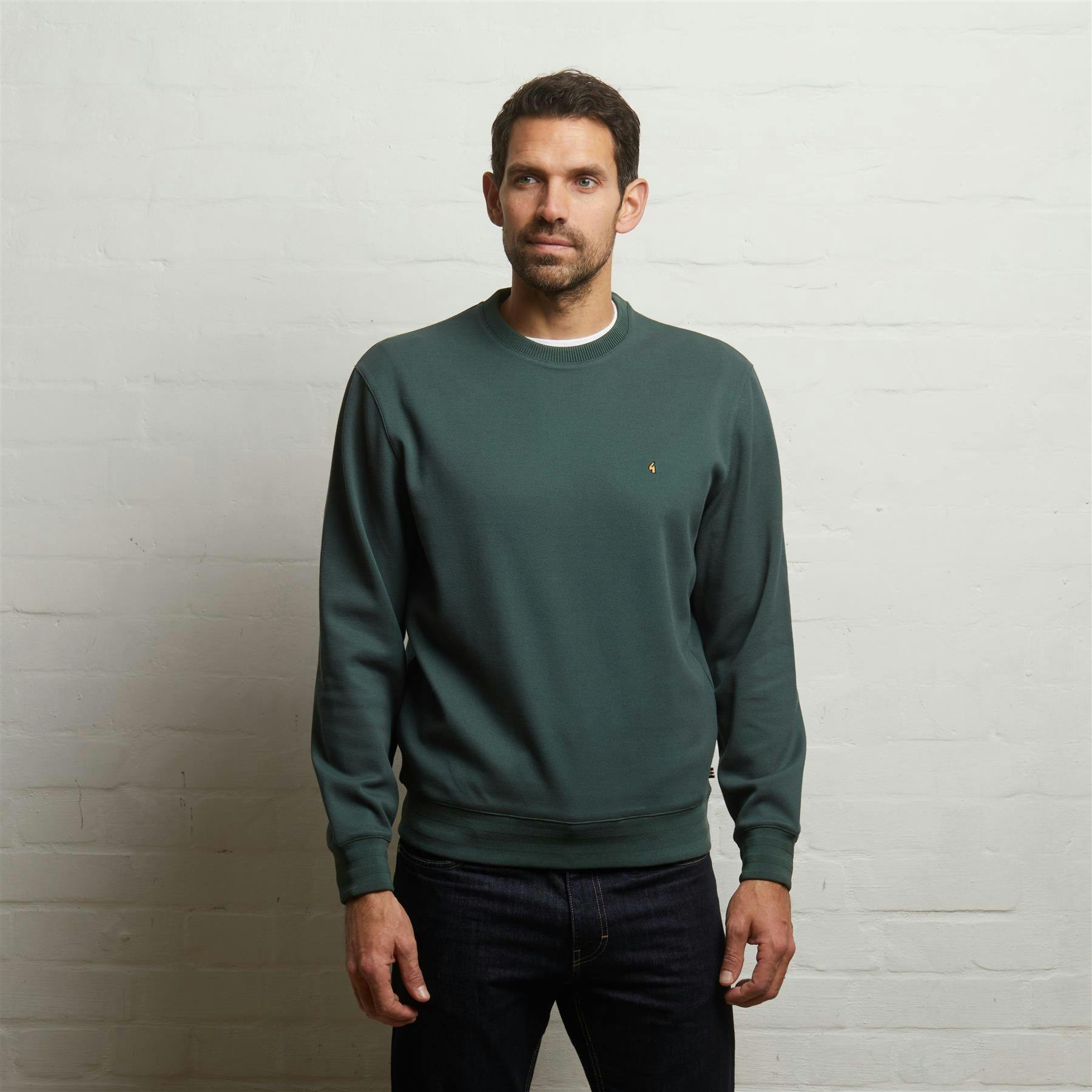 Gabicci G55d03 Crew Neck Sweat Classic Ivy - S