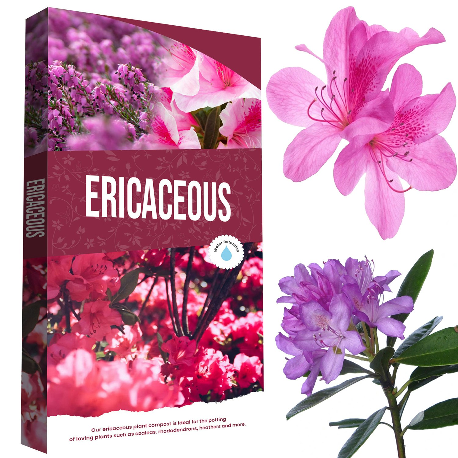 Rackhams Green 20L Ericaceous Plant Soil Specially Formulated With Essential Nutrients - 1 Bag (20 Litres)