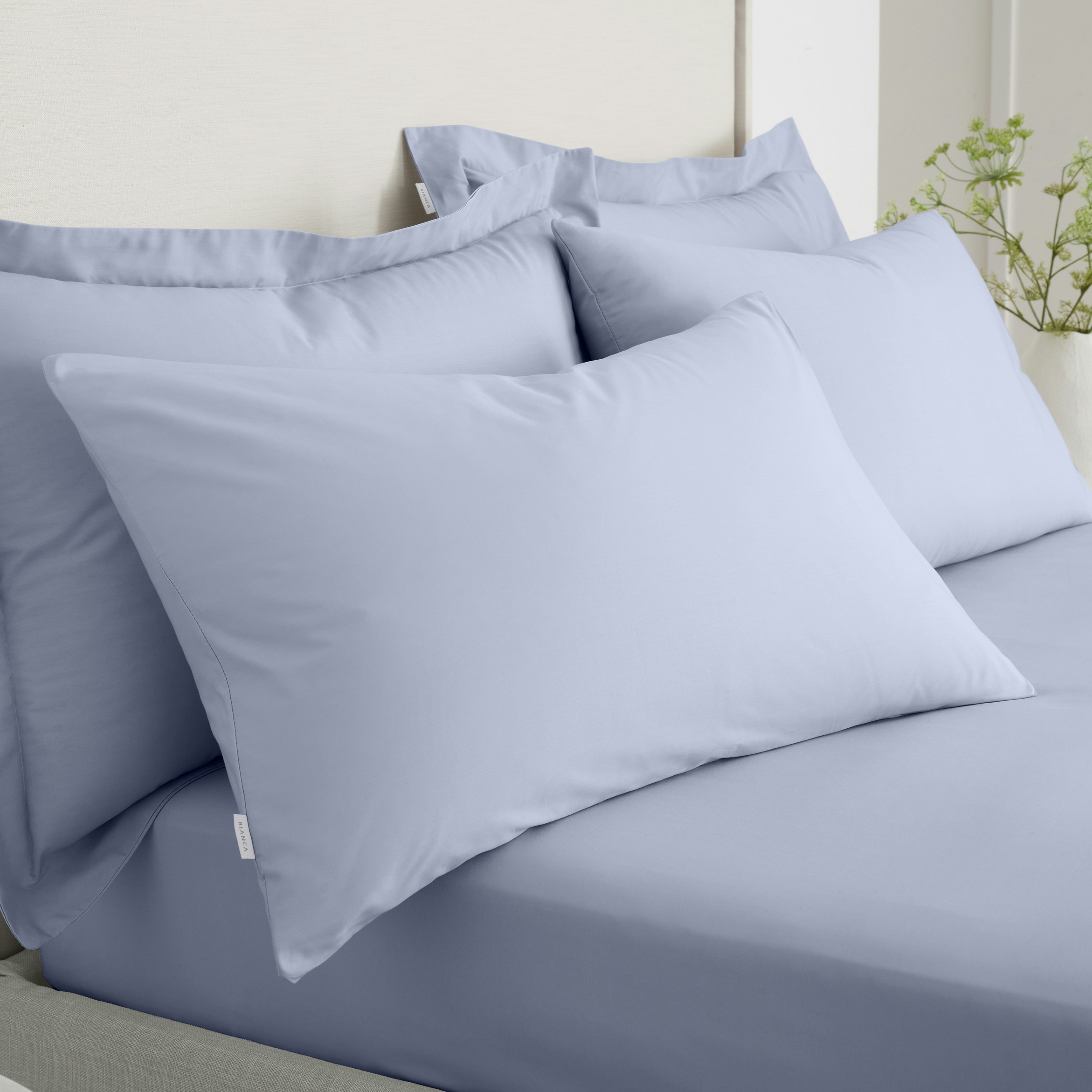 Bianca 200 Thread Count Cotton Percale Standard Pillowcase Pair - 50X75cm (X2)