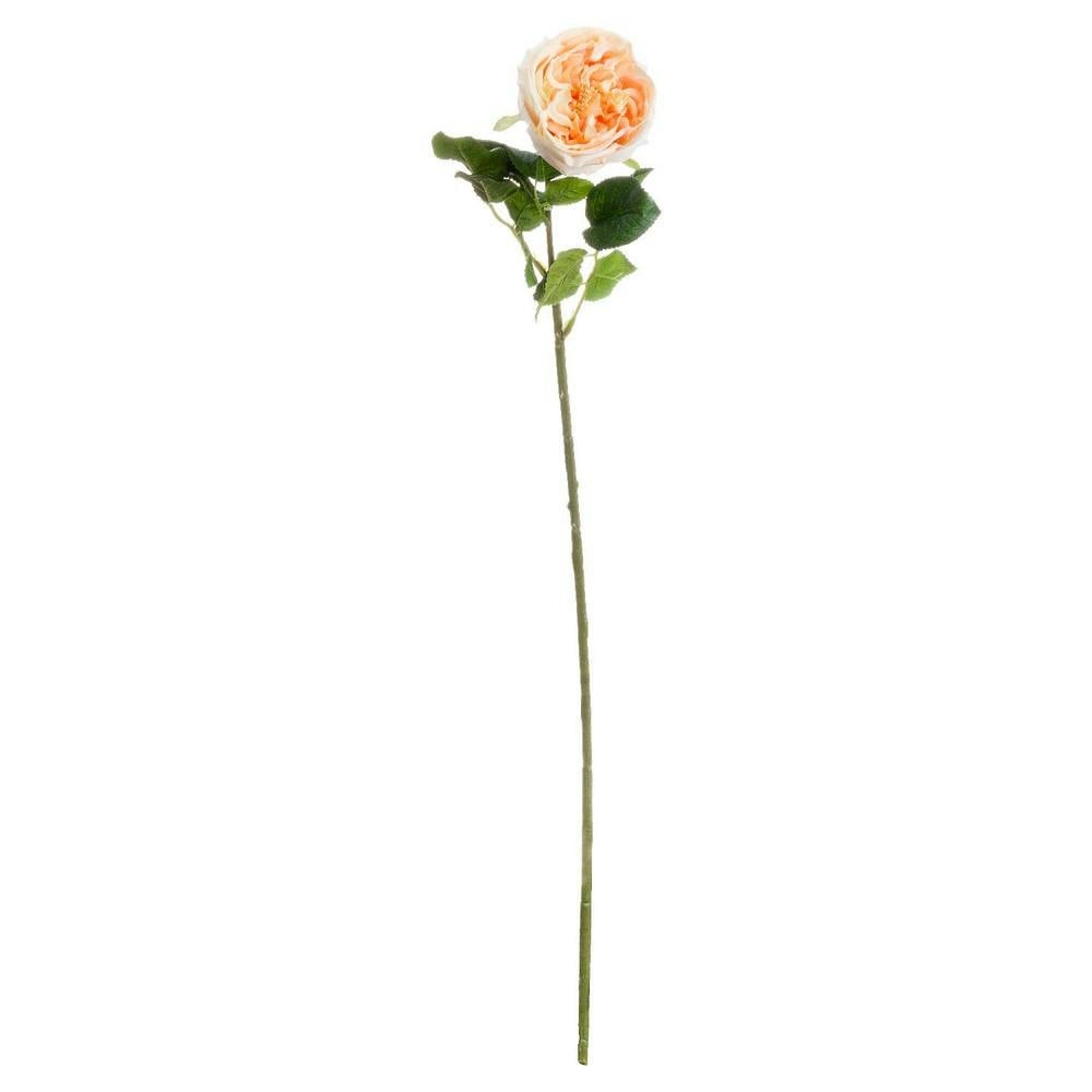 Hill Interiors Artificial Single Stem Portland Rose - Butter - One Size - Butter - 100% Synthetic