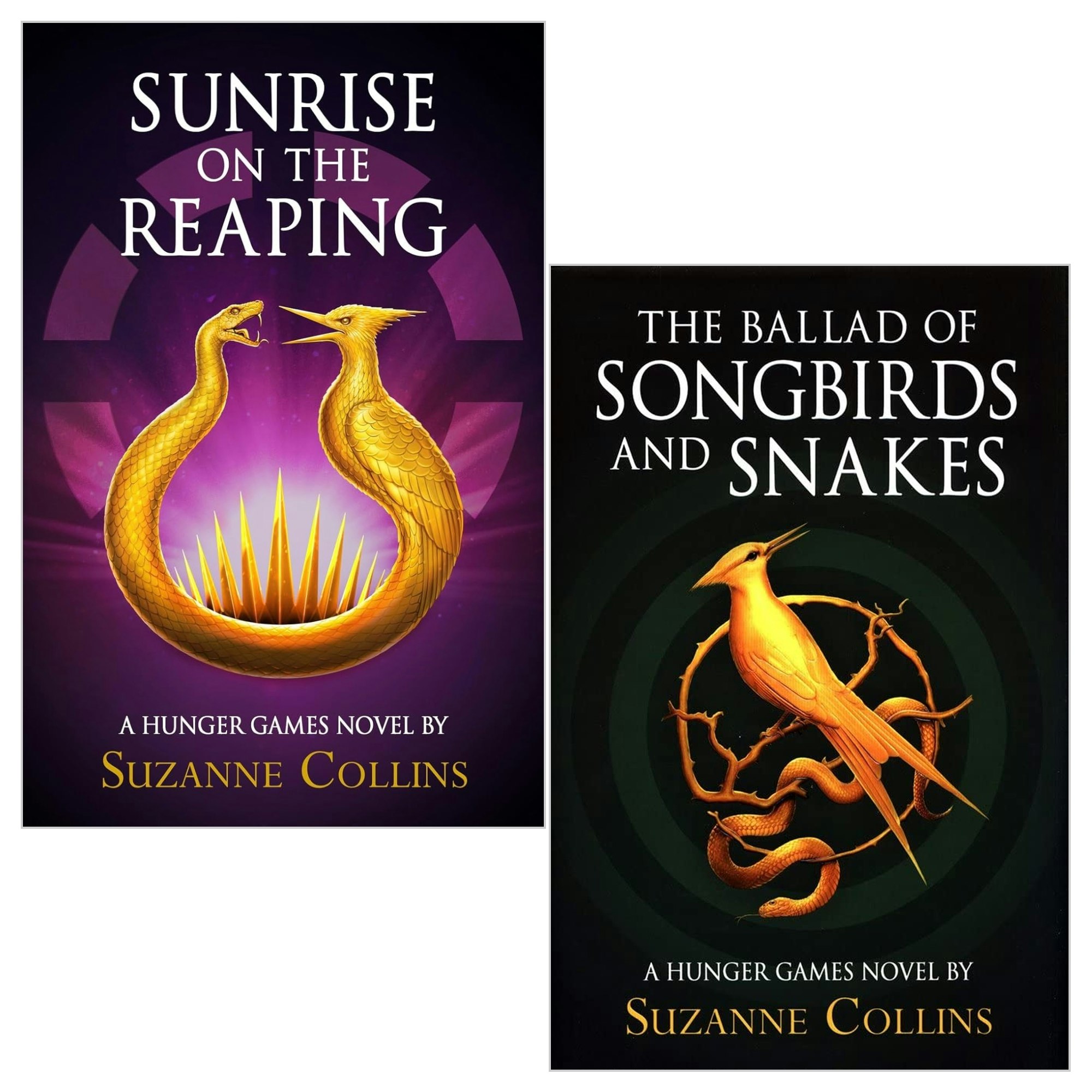 The Ballad of Songbirds and Snakes and Sunrise On The Reaping | Suzanne Collins - Image 13