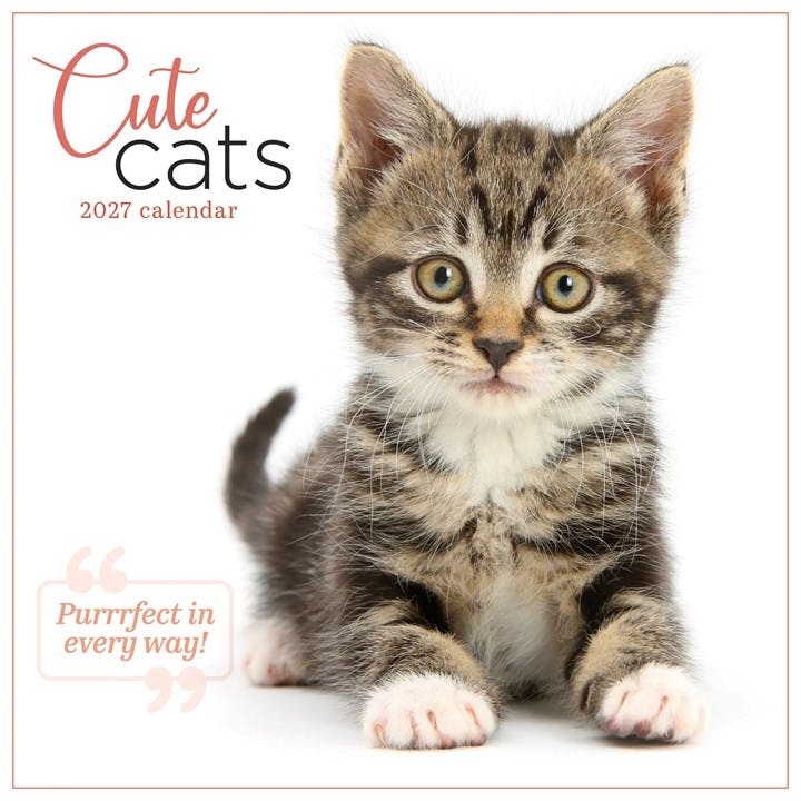 Cute Cats Calendar 2027 - Image 6