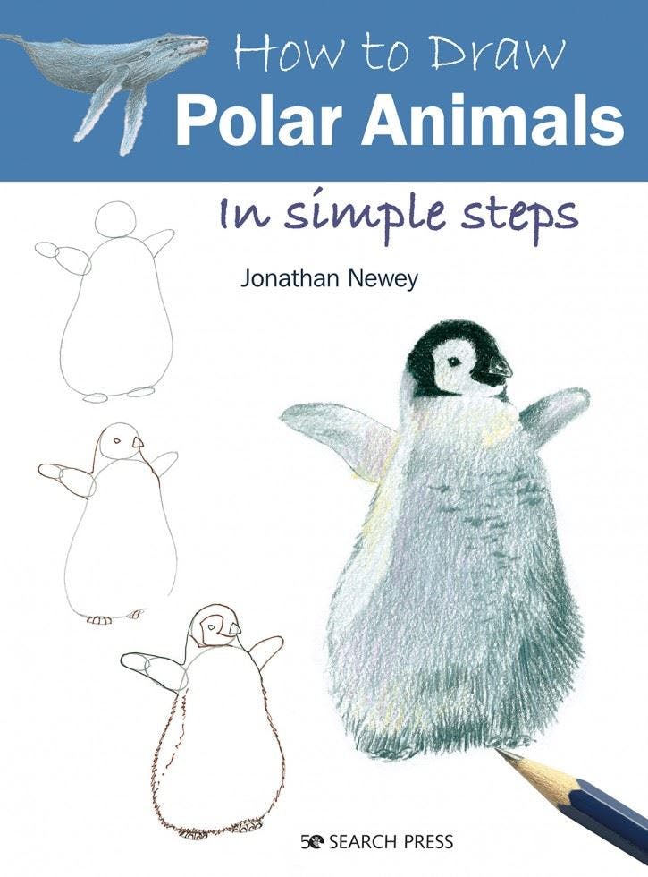 How to Draw: Polar Animals: in simple steps by Jonathan Newey (PB 2020) - Image 6