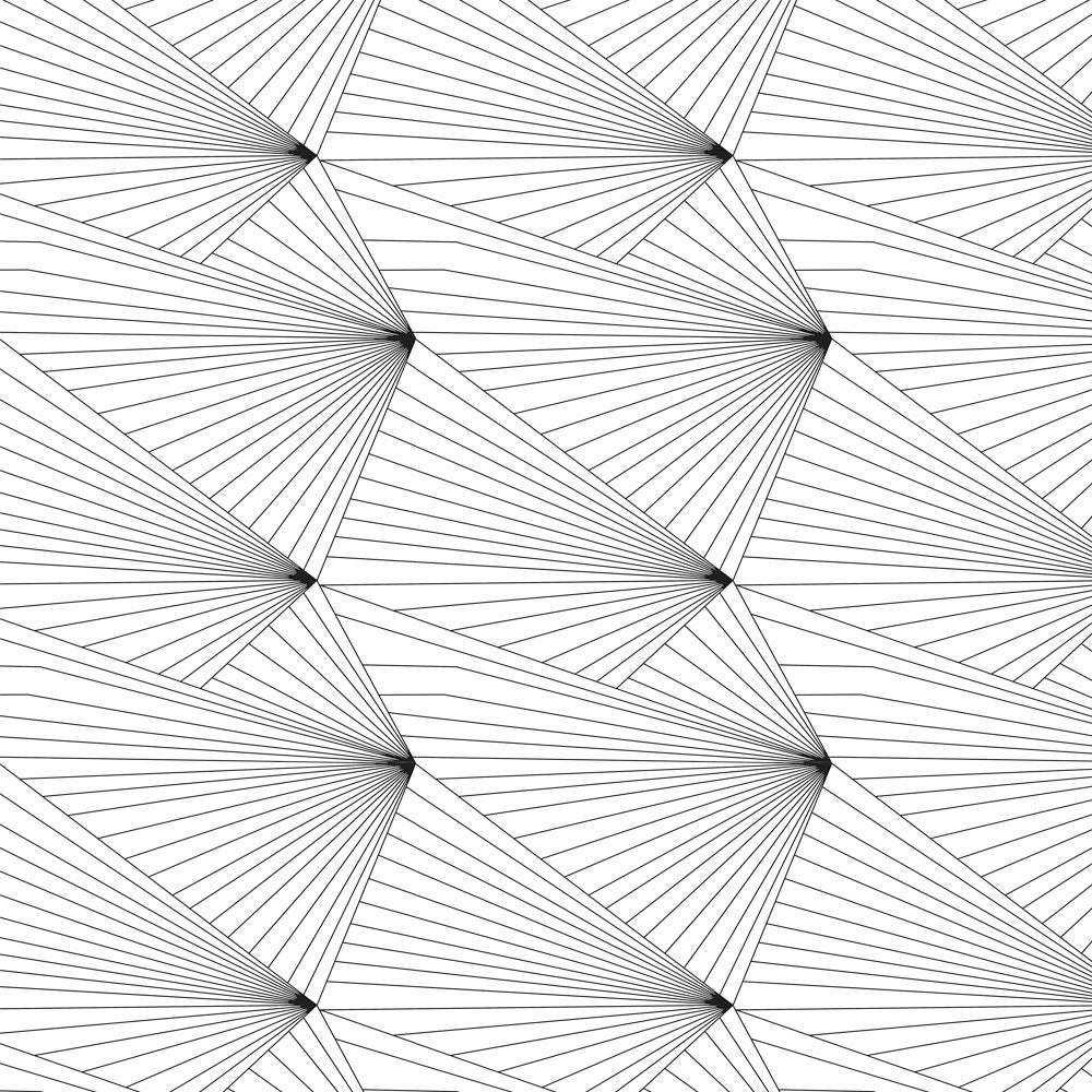 Erica Wakerly Black/White Fan And Wallpaper - 10M Roll